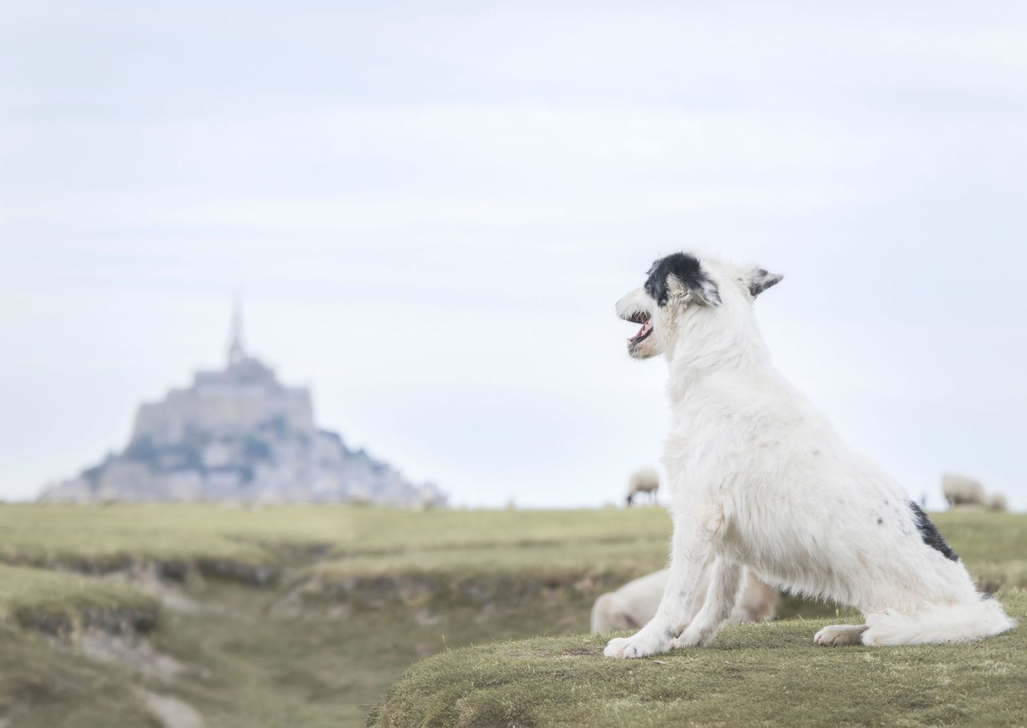 photographe finistere