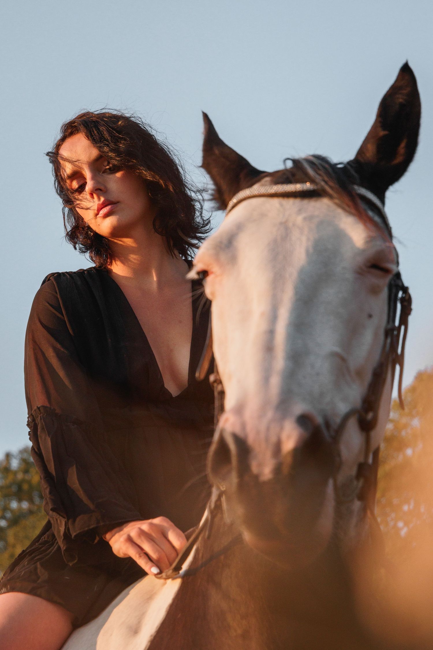 Cheval noir en portrait artistique avec fond naturel en Bretagne