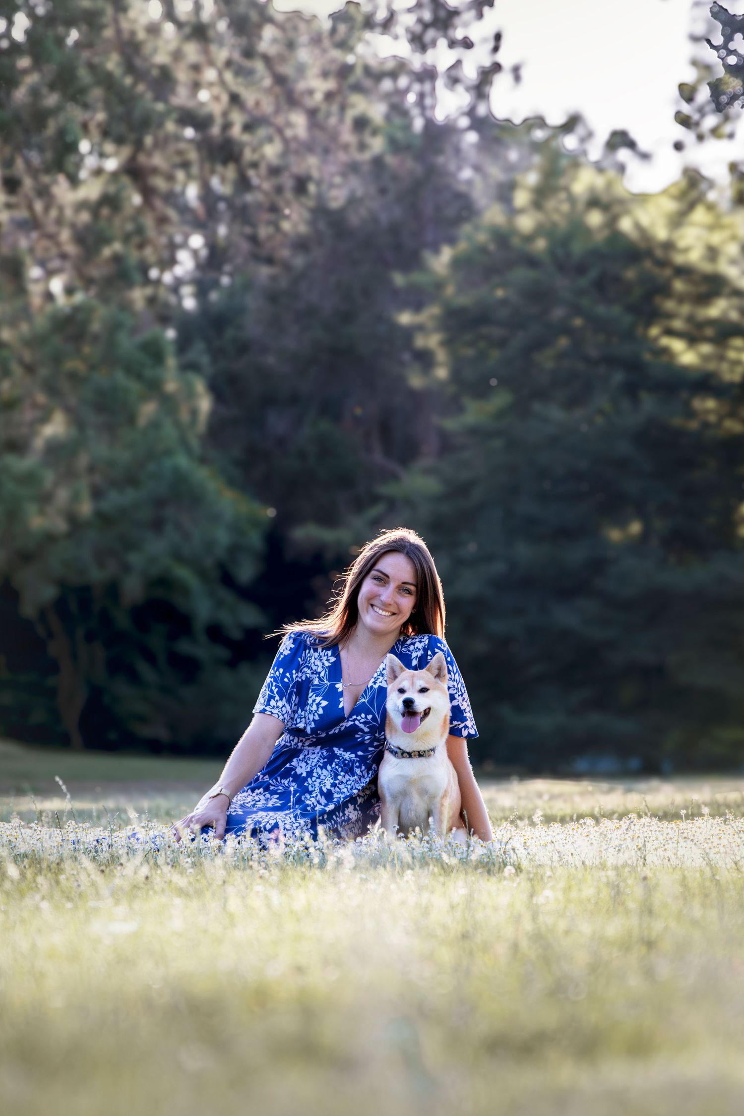 Shooting photo pour chien de race en pleine nature en Bretagne