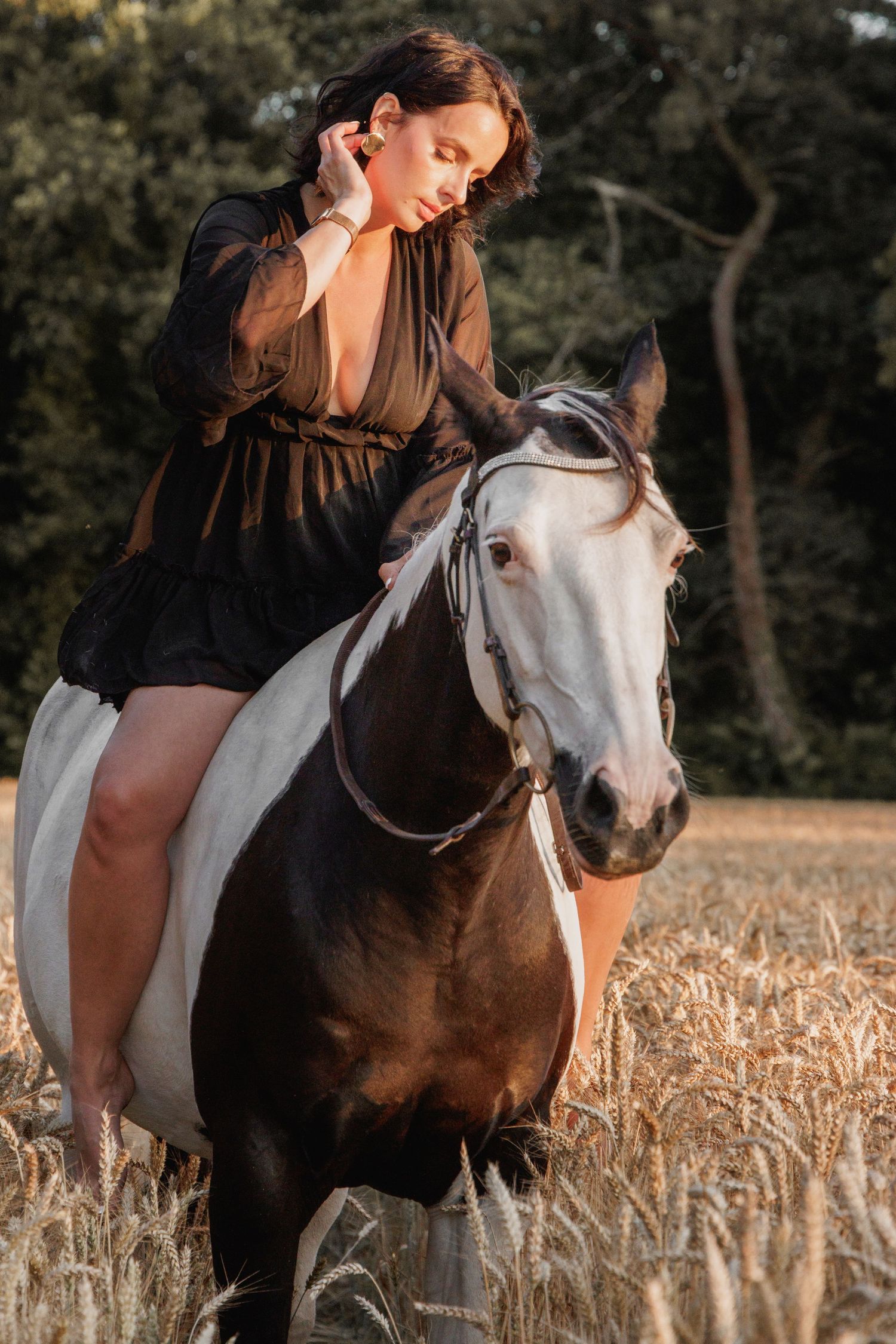 Cheval bai en extérieur dans un paysage breton lumineux
