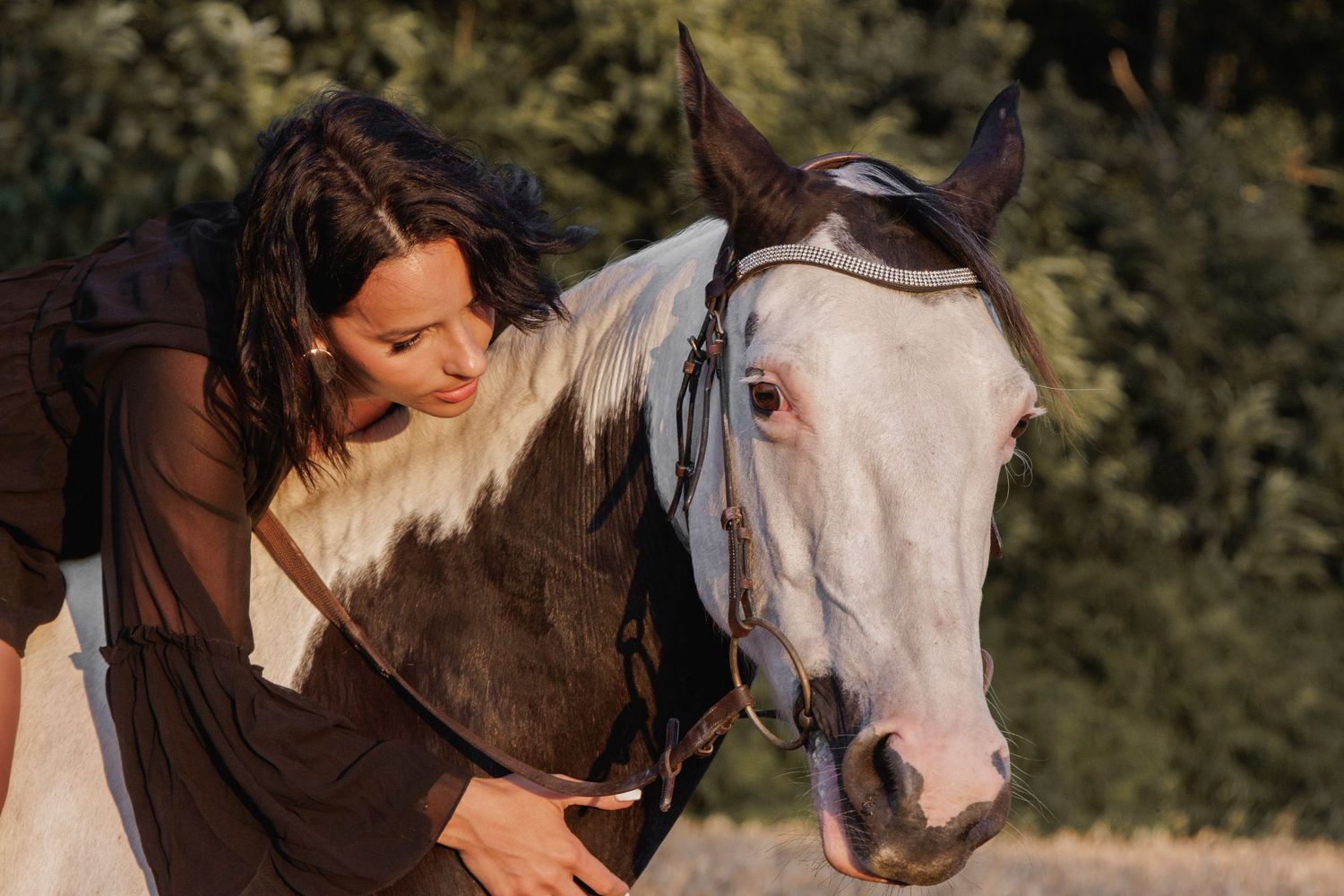 Cheval et cavalière photographiés dans un sentier forestier breton