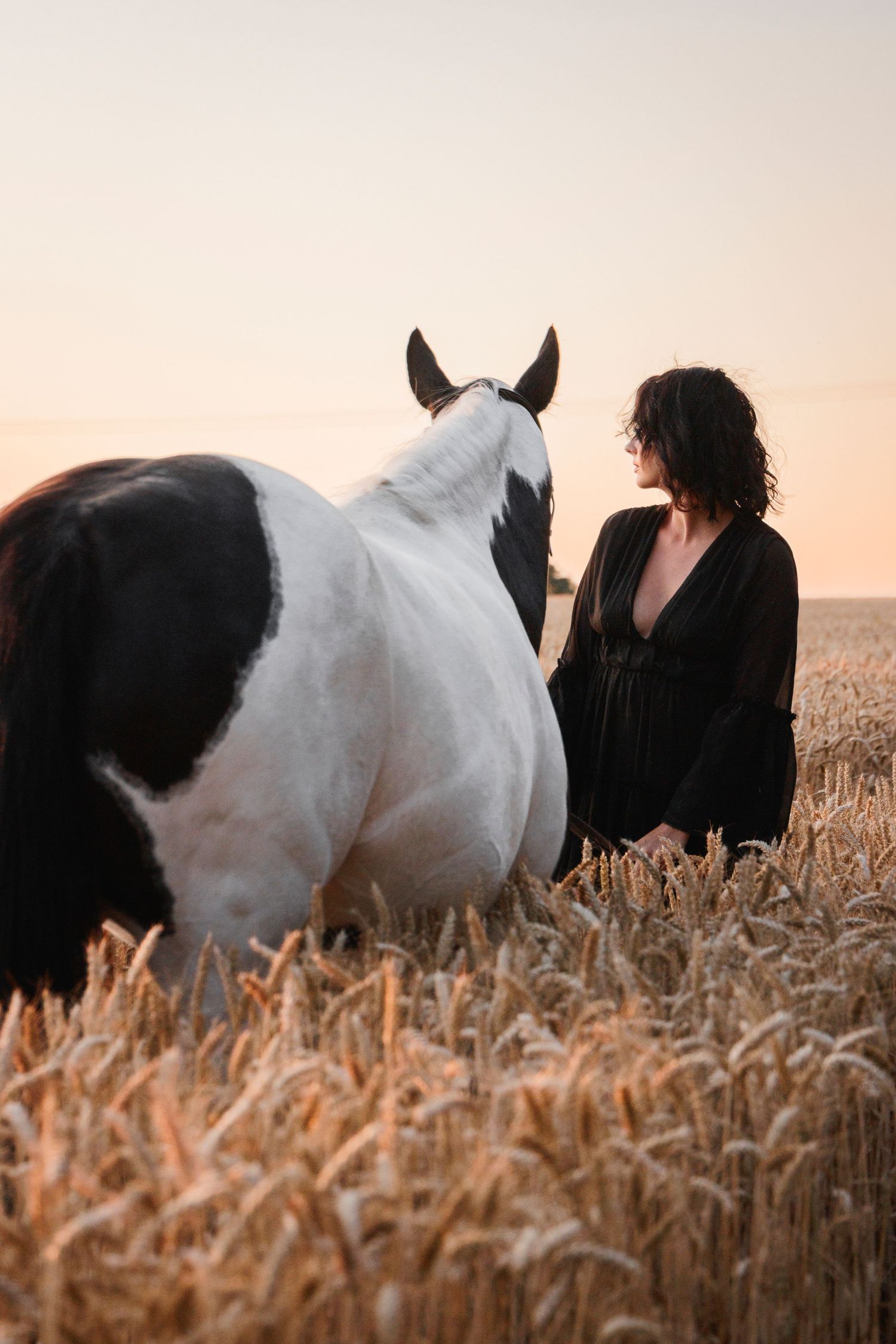 Cheval en liberté dans un champ breton, séance photo équine