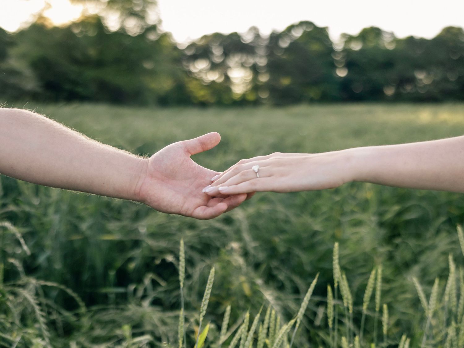 Two hands reaching towards each other against a blurred green field background in soft evening light.