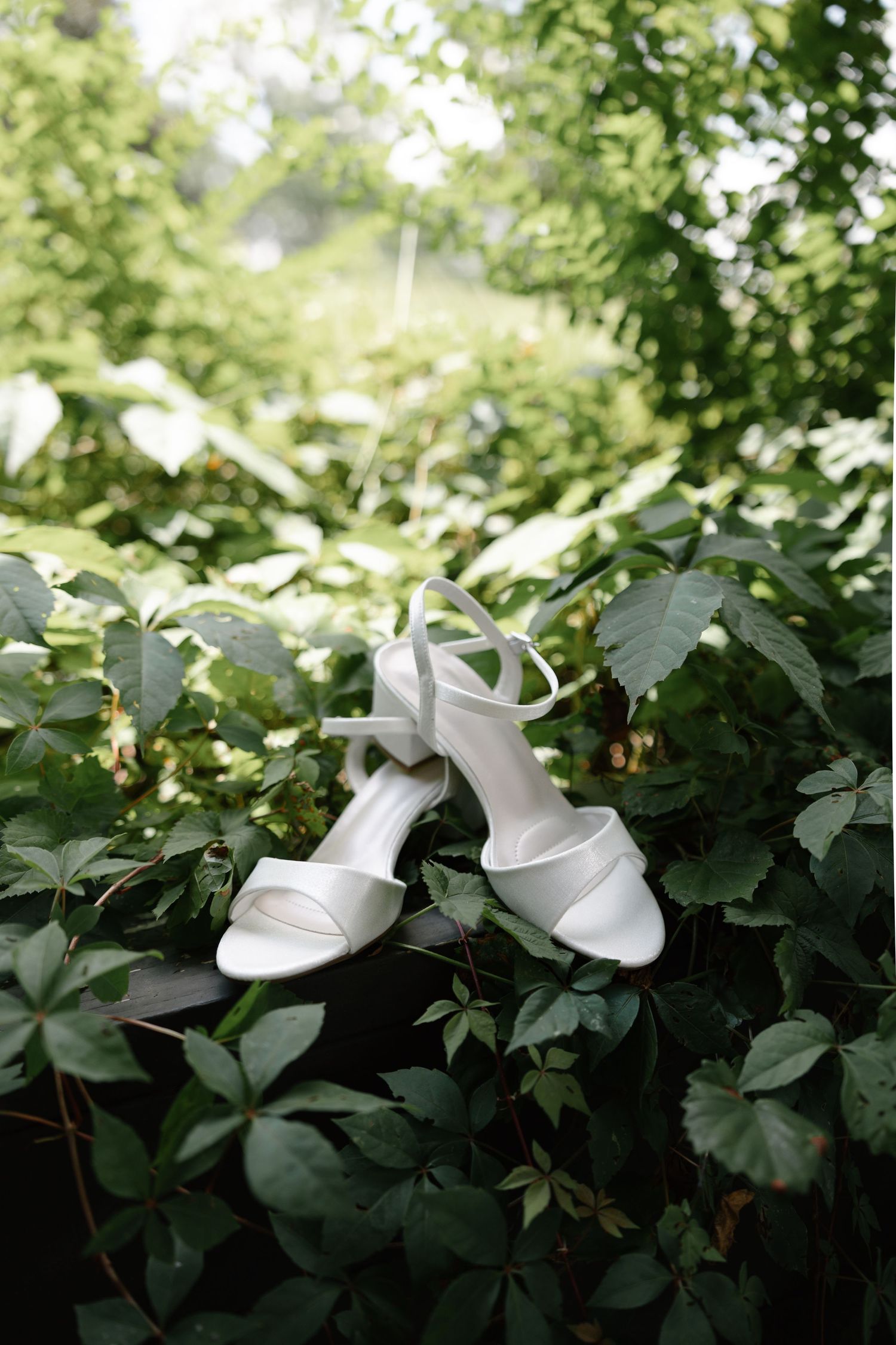 Elegant white bridal sandals hanging on green foliage outdoors in natural garden setting.