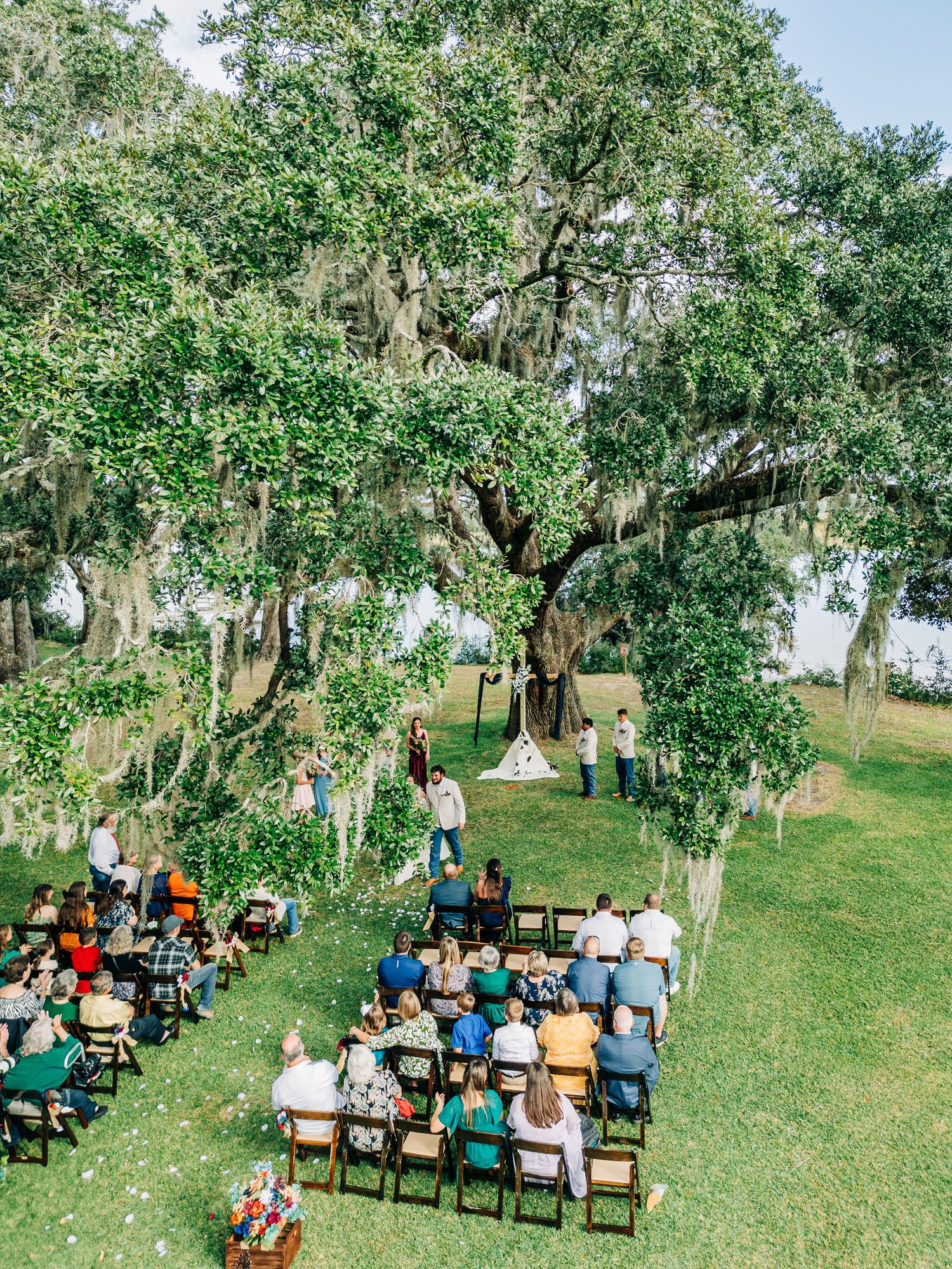 Wedding guests seated on wooden chairs beneath oak trees for an outdoor ceremony.