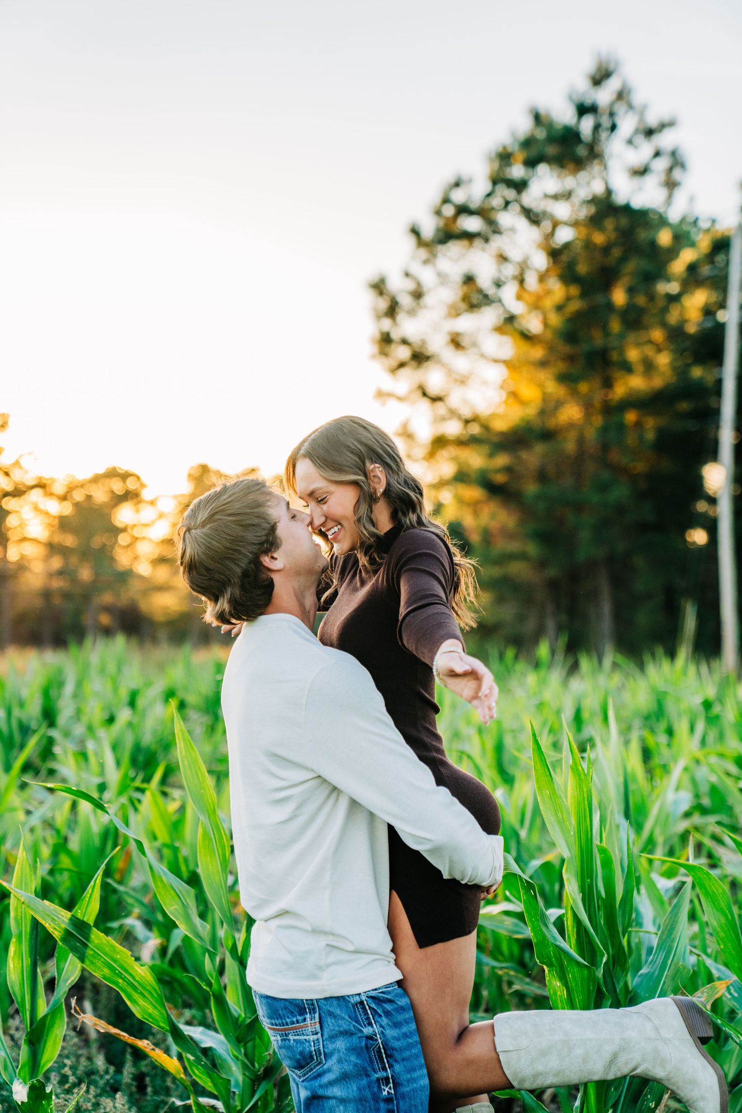 A romantic couple embraces in a cornfield at golden hour sunset with pine trees in the background.