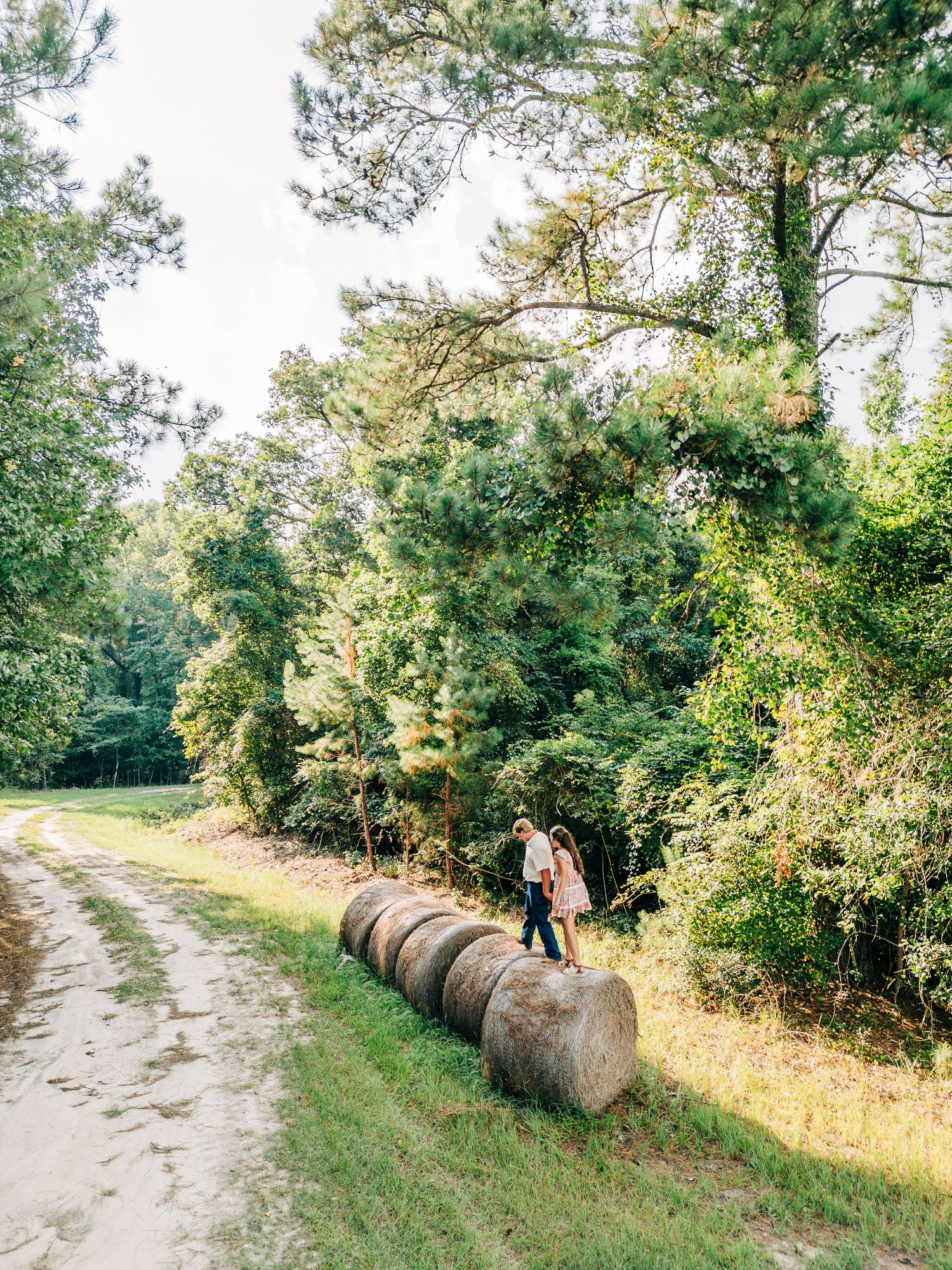 Rustic country path with large hay bales lined up along a dirt road surrounded by trees.