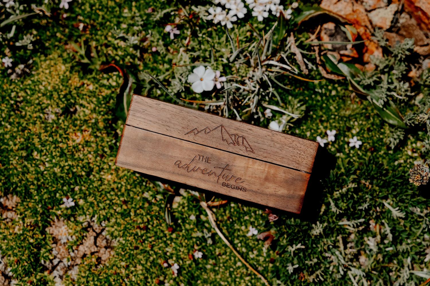 Ring box on the Beartooth Pass in Montana