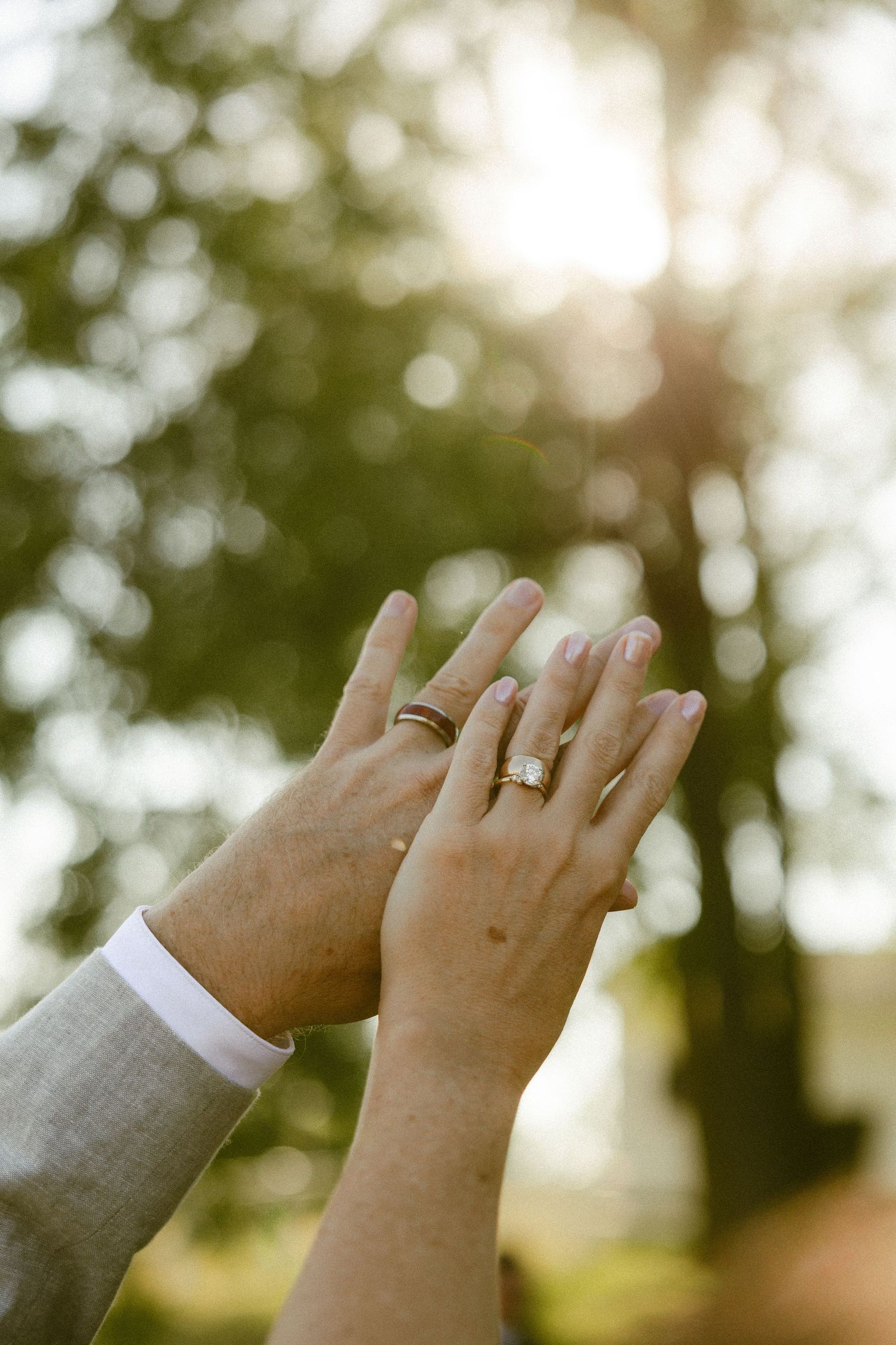 Two hands raised together showing wedding rings, with sunlit bokeh trees in the background.