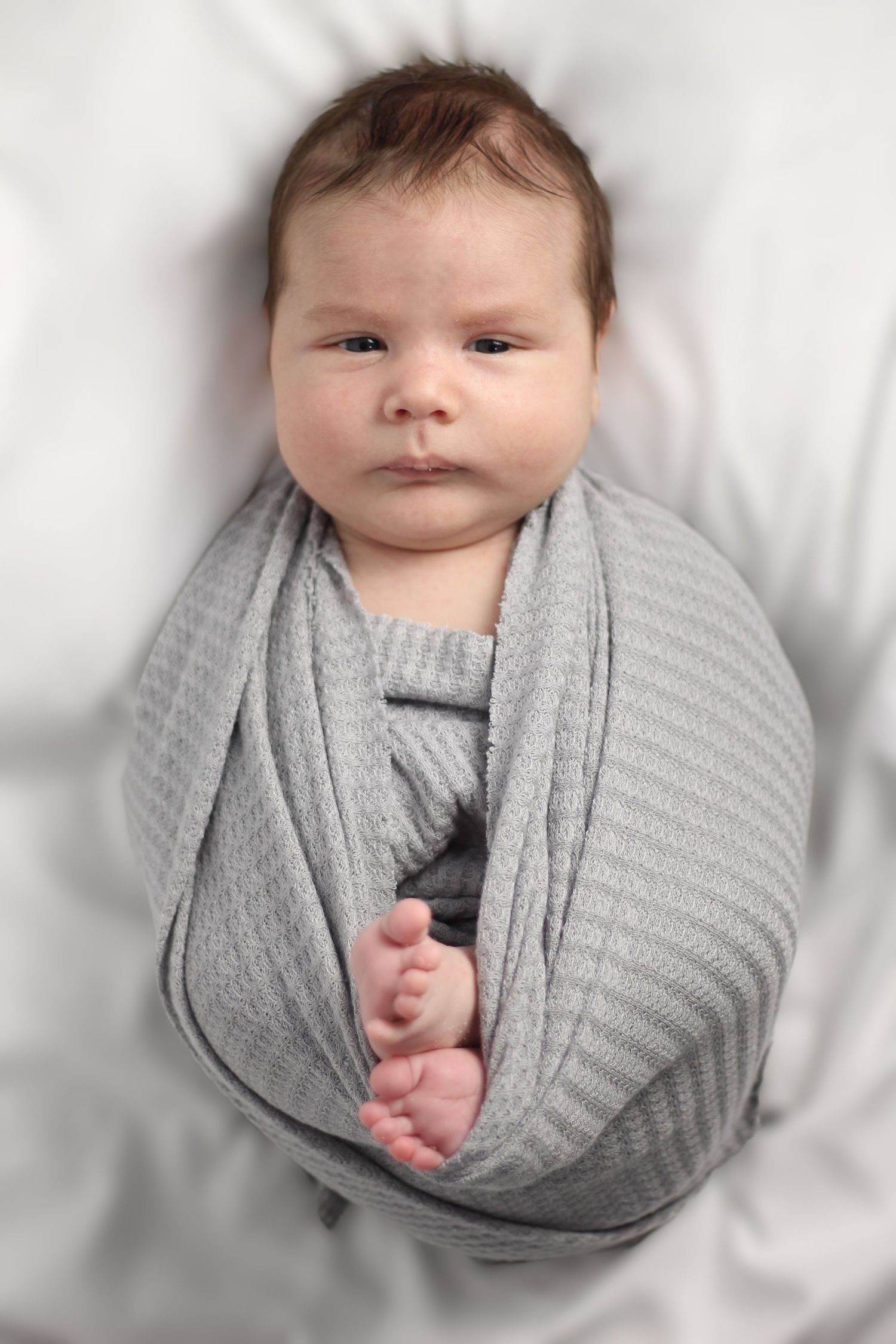 newborn photo's, affordable newborn photos. grey  baby wraps.