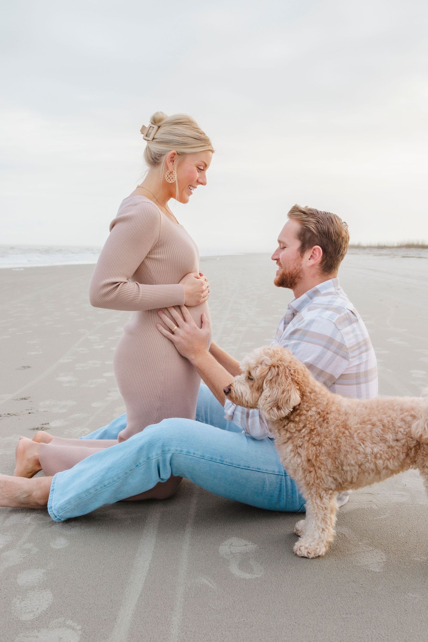 Gender Reveal, Colorful, a dog, Hilton Head Island
