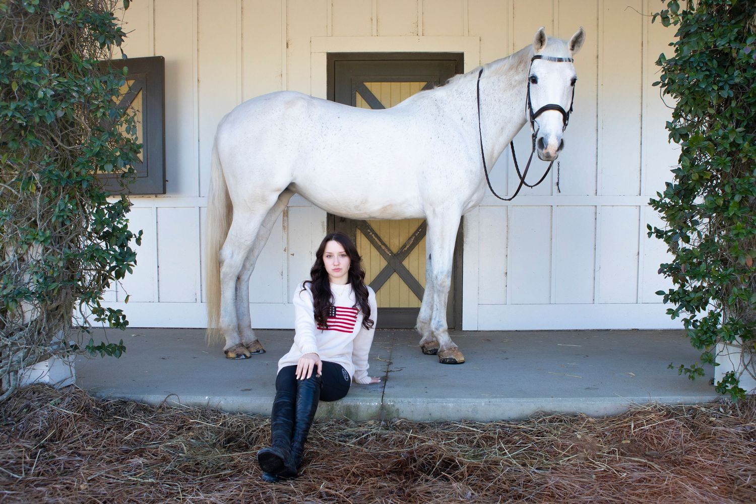Equestrian. Horse. white horse, model, barn Scad Equestrian team