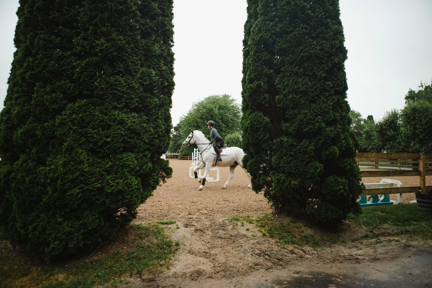 Equestrian. East Hampton. Beach Acre Farms. Horse. Jumping. Scad Equestrian team