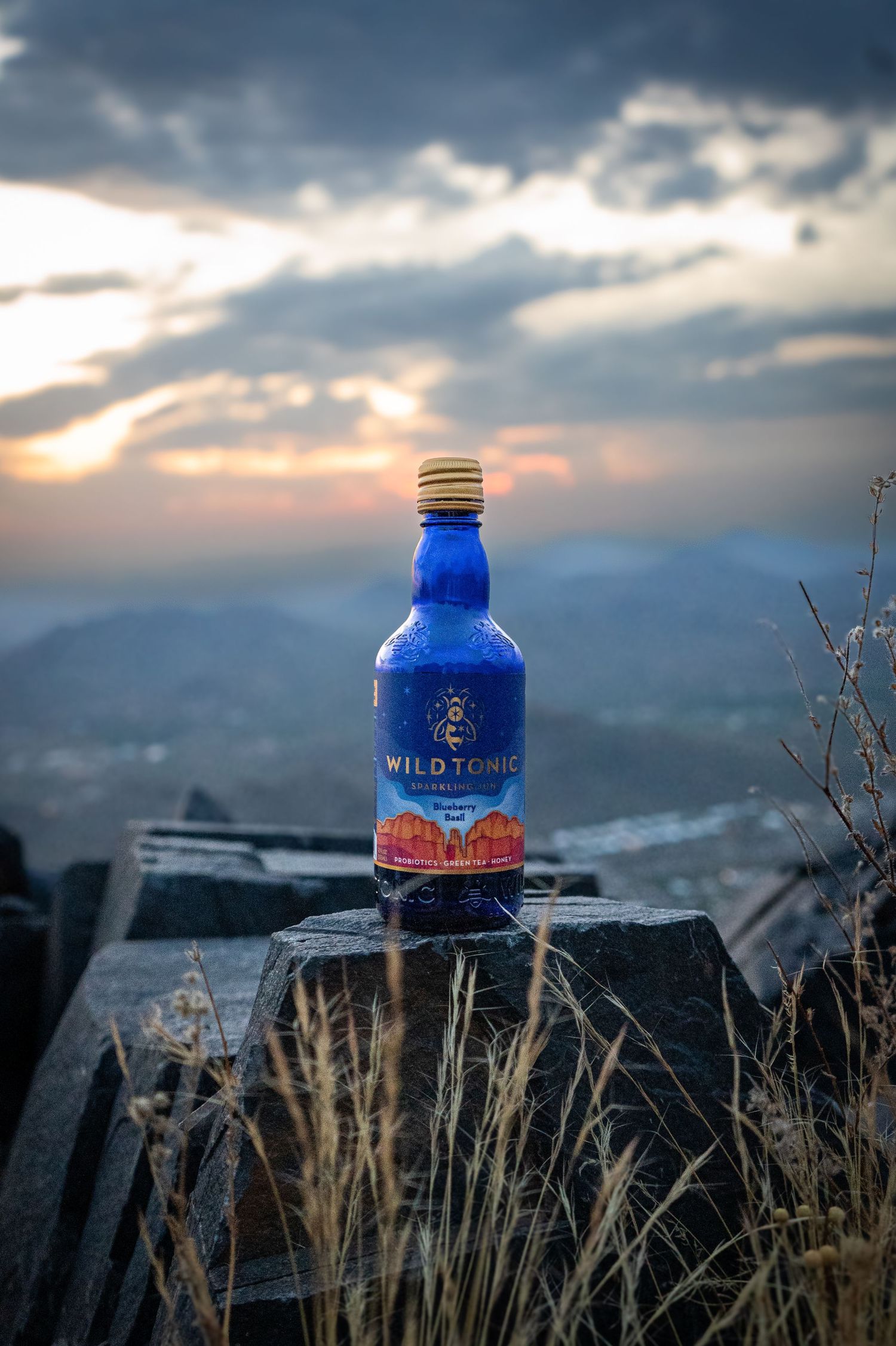 Blue Wild Tonic bottle positioned on rocks at sunset with mountains in background.