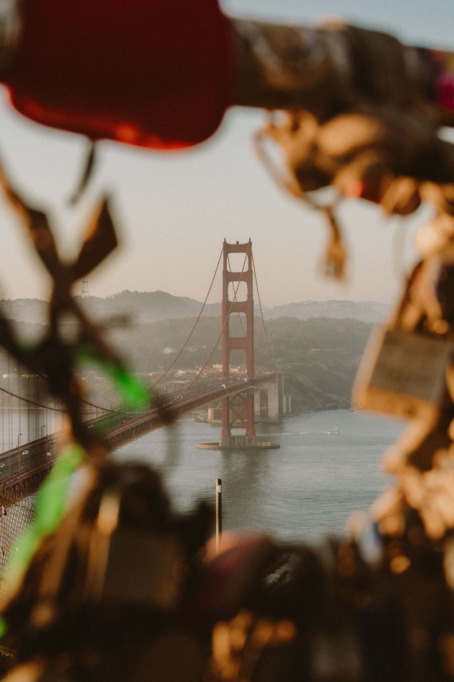 Golden Gate Bridge towers and span visible through blurred autumn leaves and branches in San Francisco.