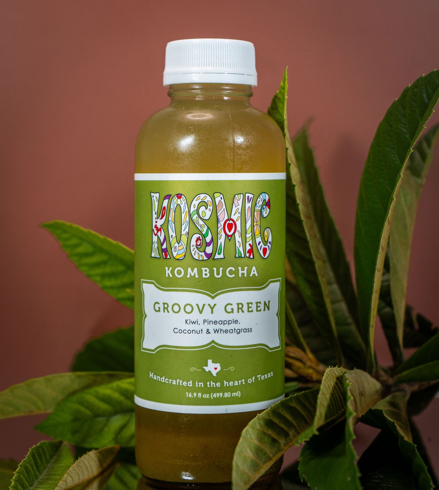 Bottle of Kosmic Kombucha Groovy Green variety displayed with green plant leaves.