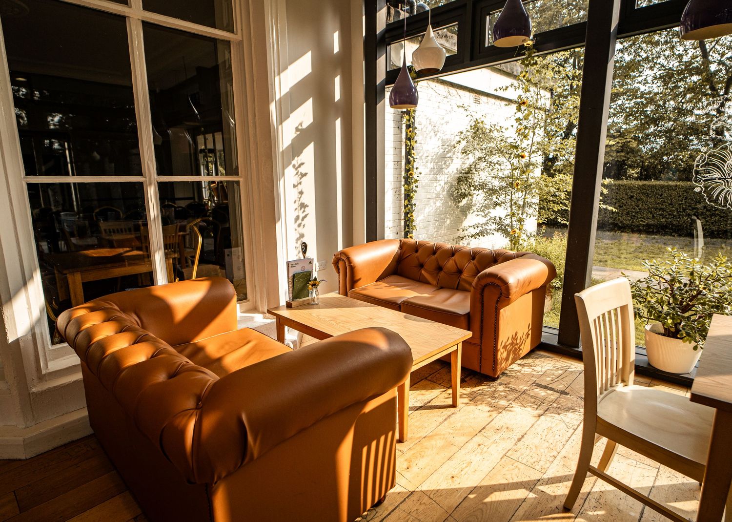 A sunlit porch with leather armchairs and natural light streaming through windows.