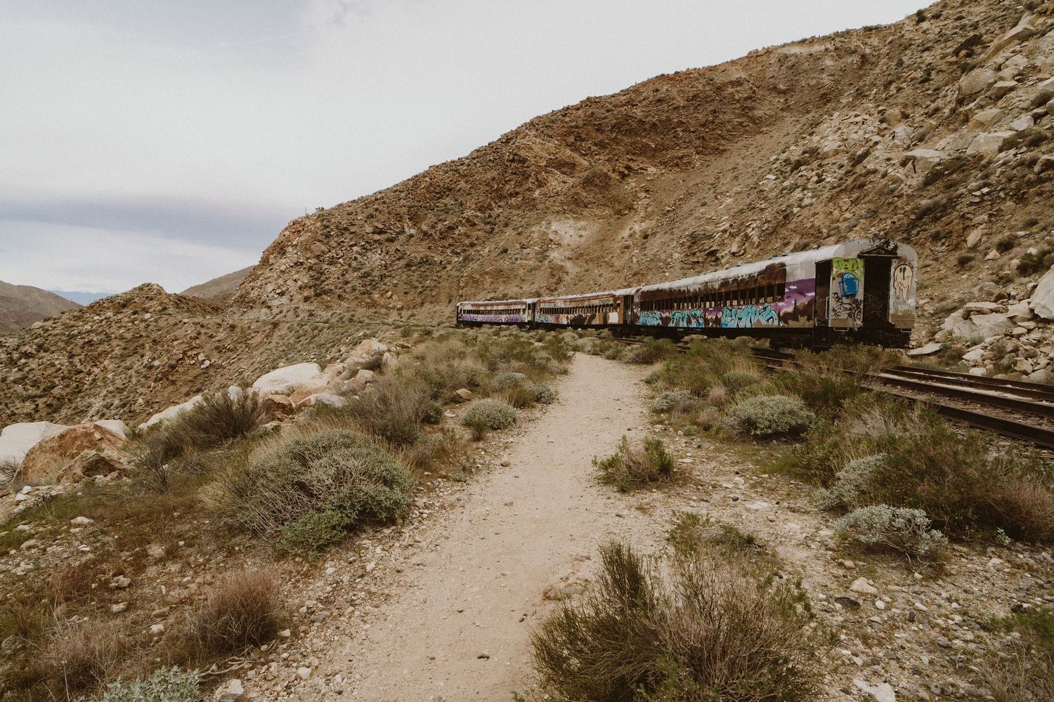A graffiti-covered train car travels along a winding desert track with rocky cliffs and sparse vegetation in the background.
