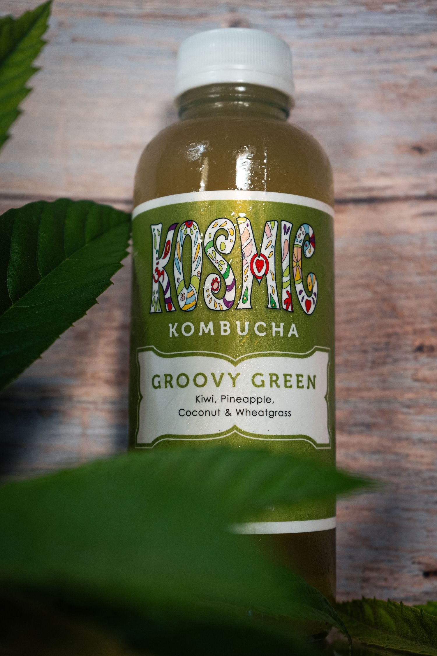 Bottle of Groovy Green Kosmic Kombucha photographed with green leaves against rustic wood background.