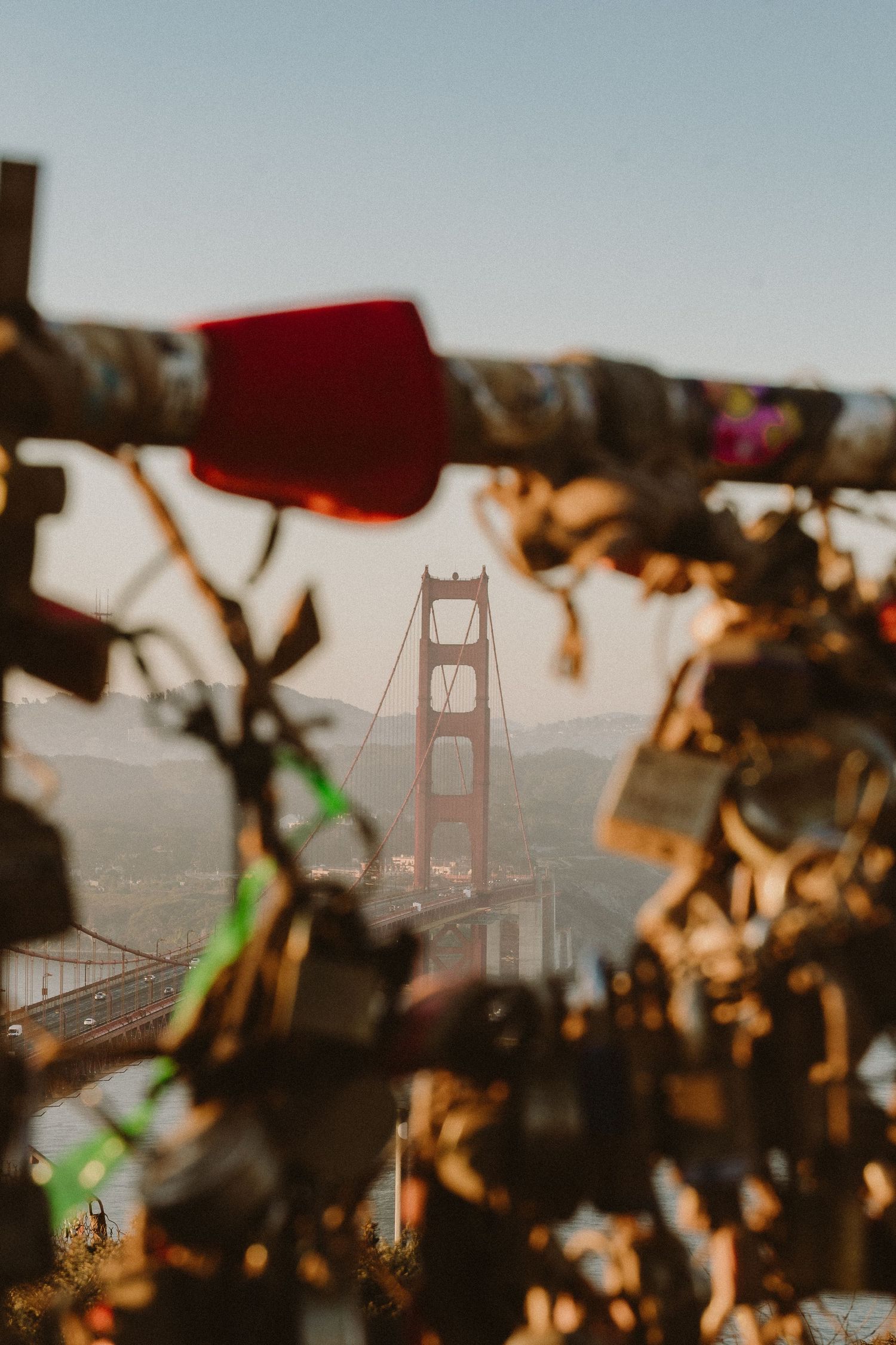 Golden Gate Bridge towers rise through morning fog as autumn leaves frame the iconic San Francisco landmark.