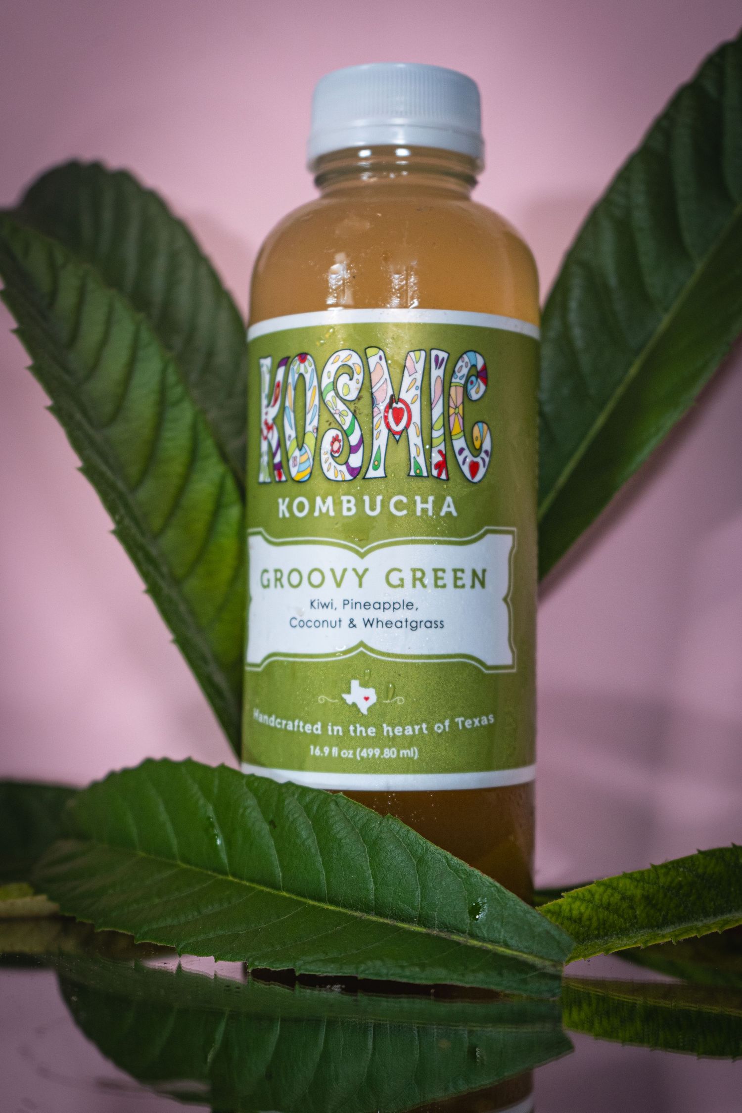 Kosmic Kombucha bottle photographed with large green leaves against pink background.