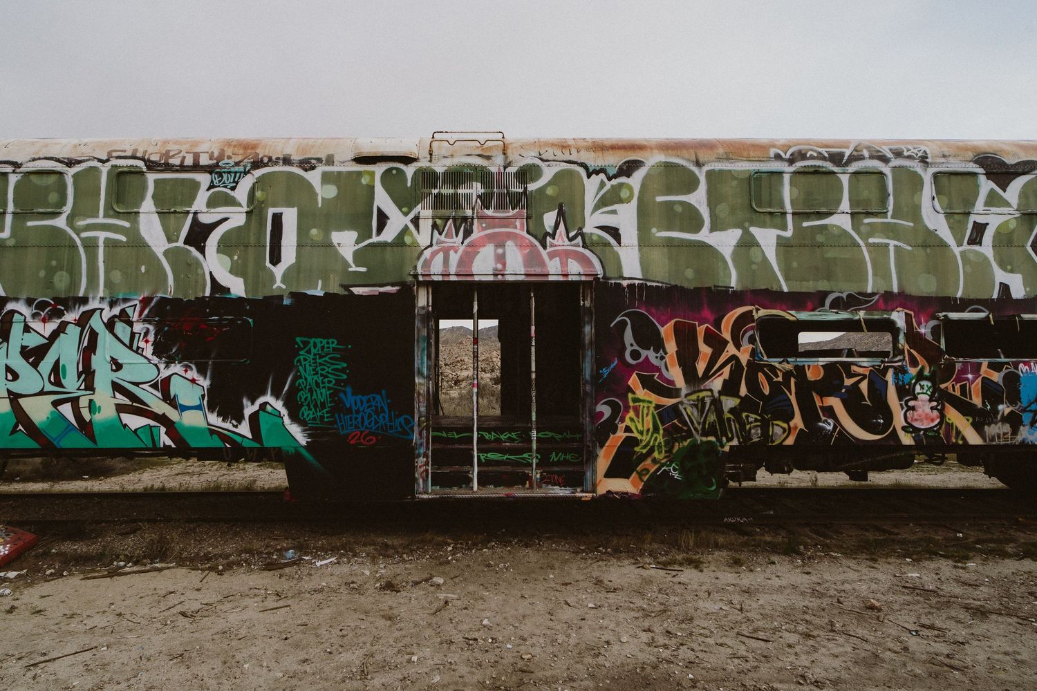 A long row of graffiti-covered train cars stretches across the frame against a cloudy sky.