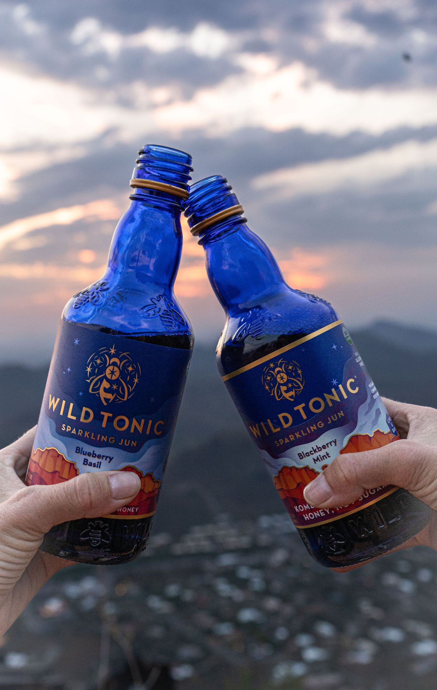 Two blue Wild Tonic bottles clinking together against a sunset mountain backdrop.