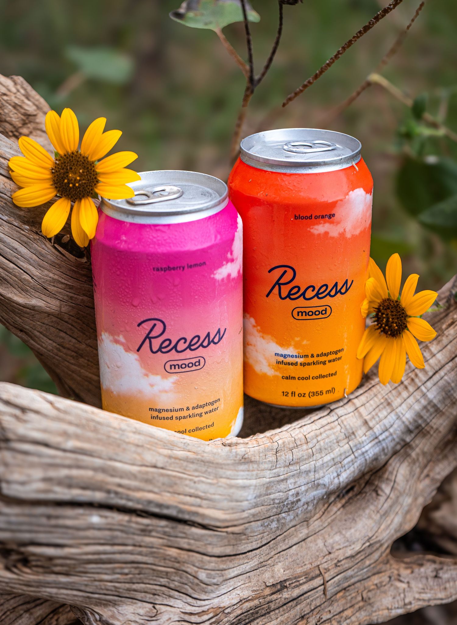 Two colorful Recess drink cans displayed with yellow sunflowers on weathered driftwood.