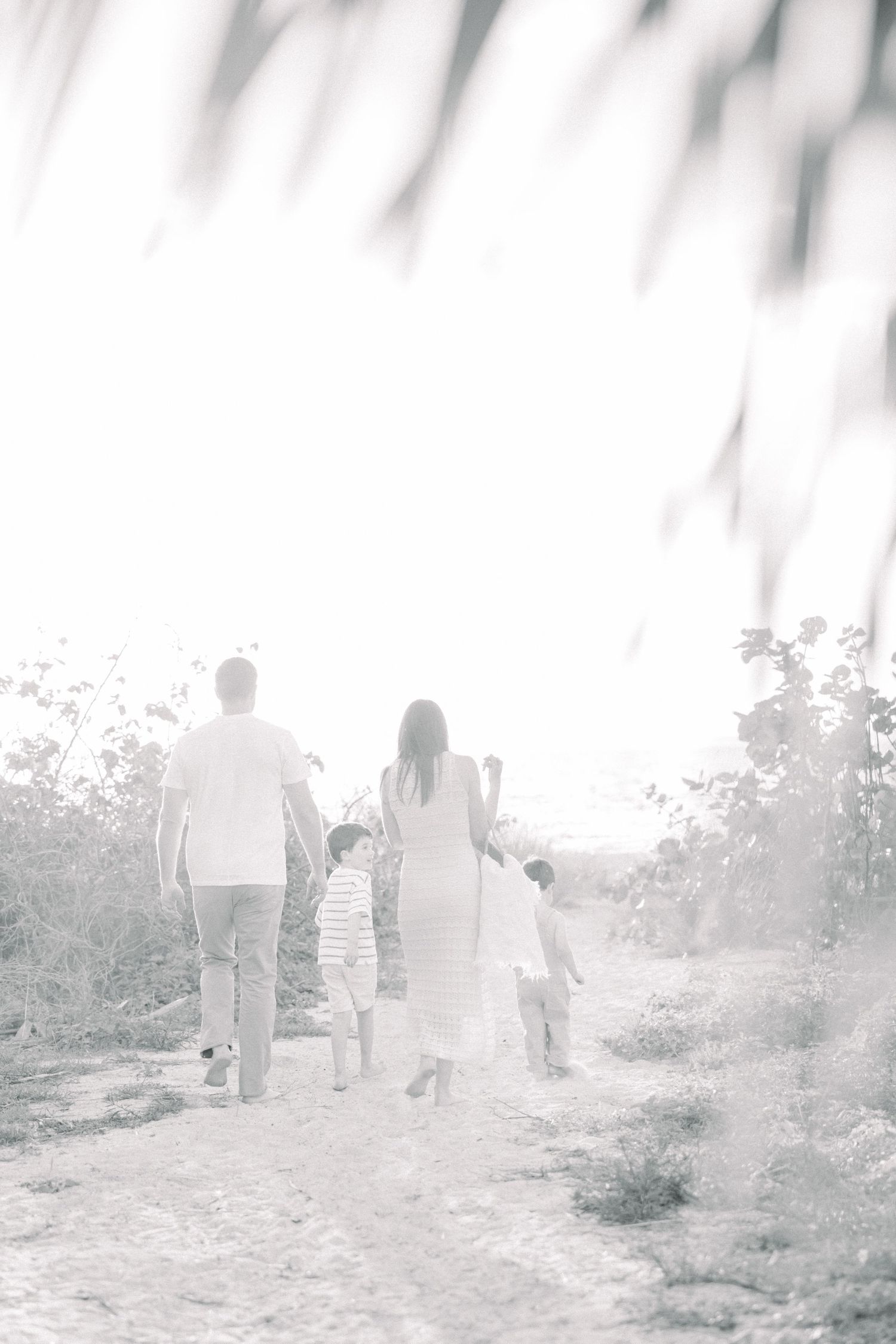 Tampa Family Photographer Tampa Newborn Photographer Tampa Maternity Photographer Heather Walker Photography Beach family Photographer