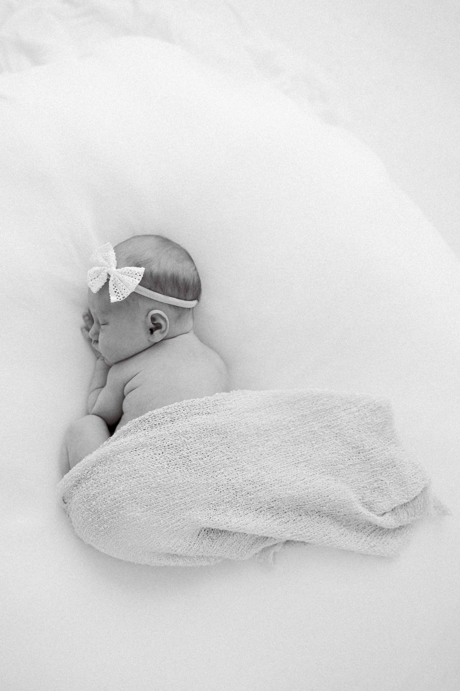 Tampa Family Photographer Tampa Newborn Photographer Tampa Maternity Photographer Heather Walker Photography Natural Light Studio newborn