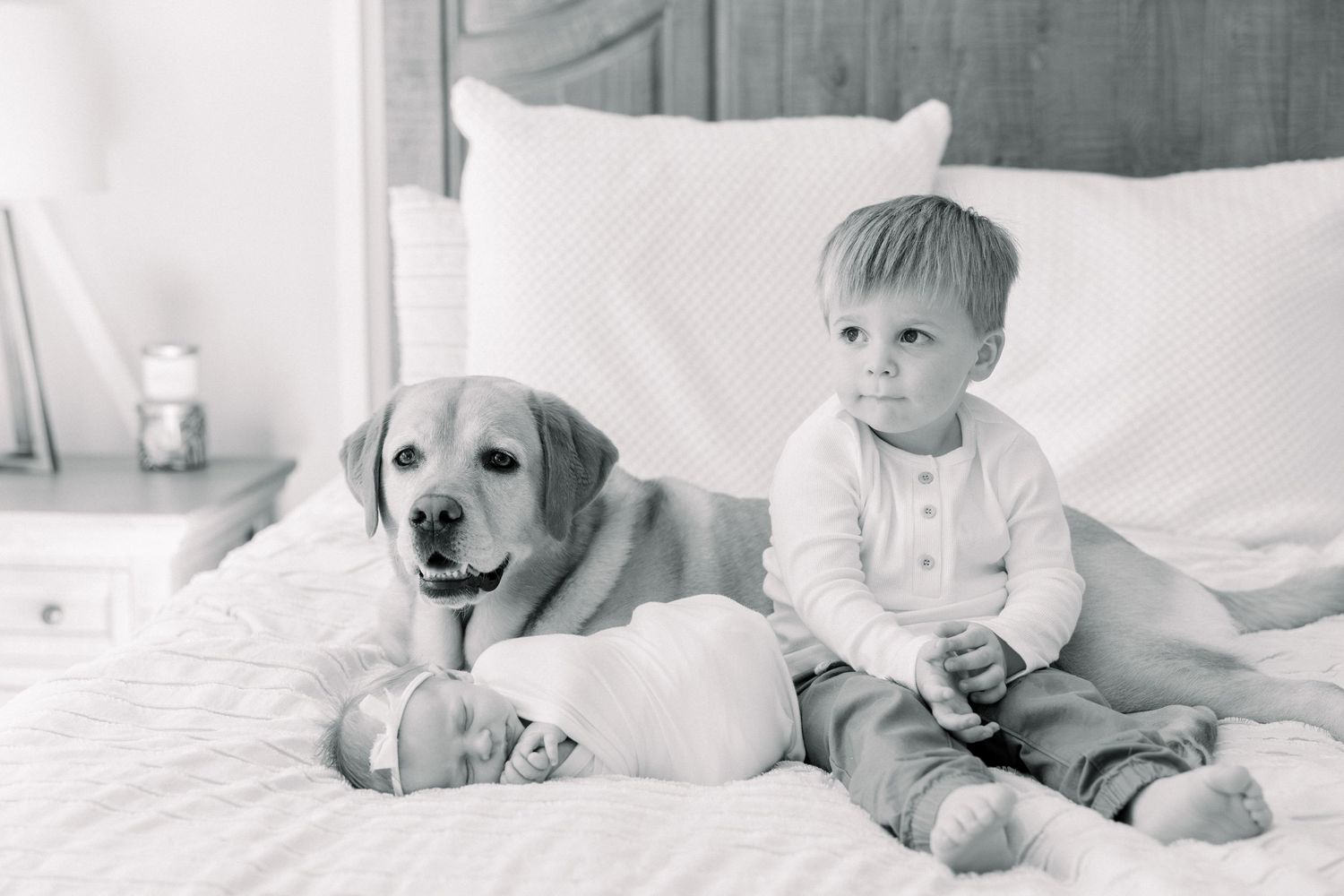 Tampa Family Photographer Tampa Newborn Photographer Tampa Maternity Photographer Heather Walker Photography In home newborn photographer