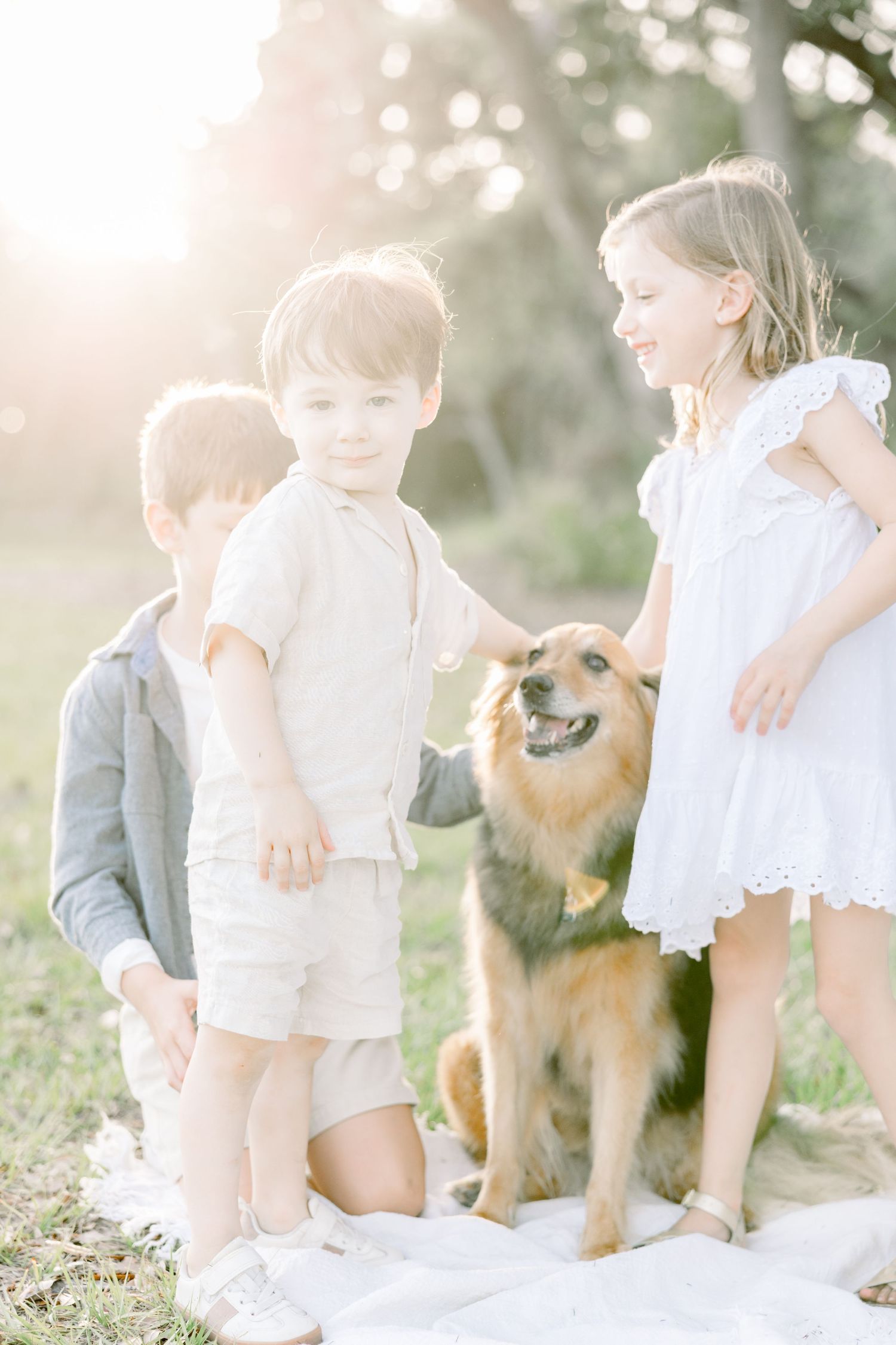 Children playing with a happy brown dog outdoors in soft sunlight.