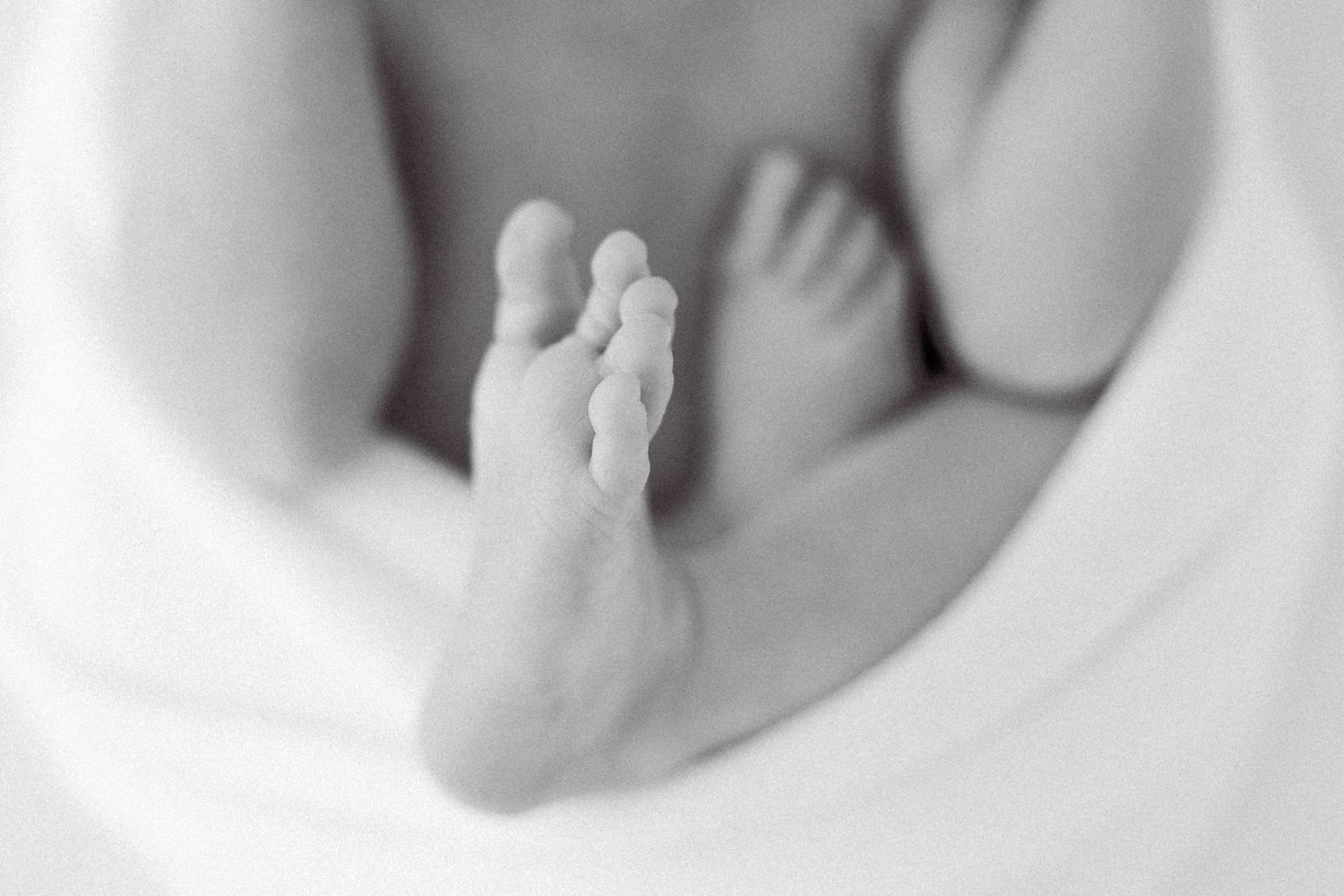 Tampa Family Photographer Tampa Newborn Photographer Tampa Maternity Photographer Heather Walker Photography Natural Light Studio Newborn