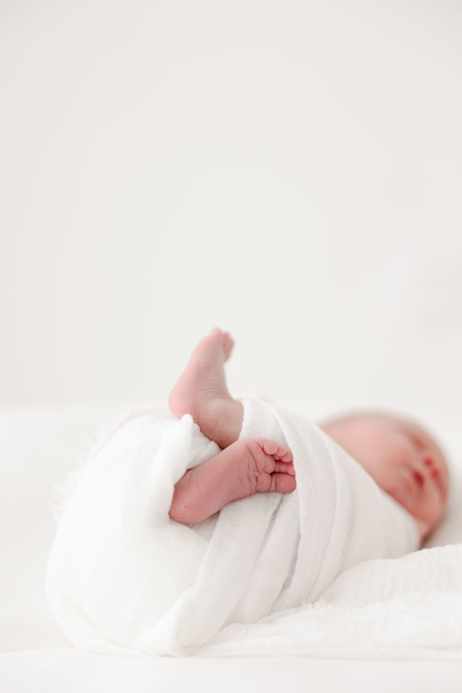 Tampa Family Photographer Tampa Newborn Photographer Tampa Maternity Photographer Heather Walker Photography Natural Light Studio newborn