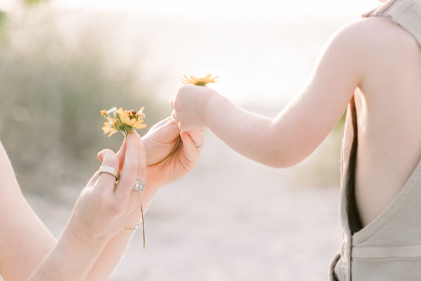 Tampa Family Photographer Tampa Newborn Photographer Tampa Maternity Photographer Heather Walker Photography beach family photographysession