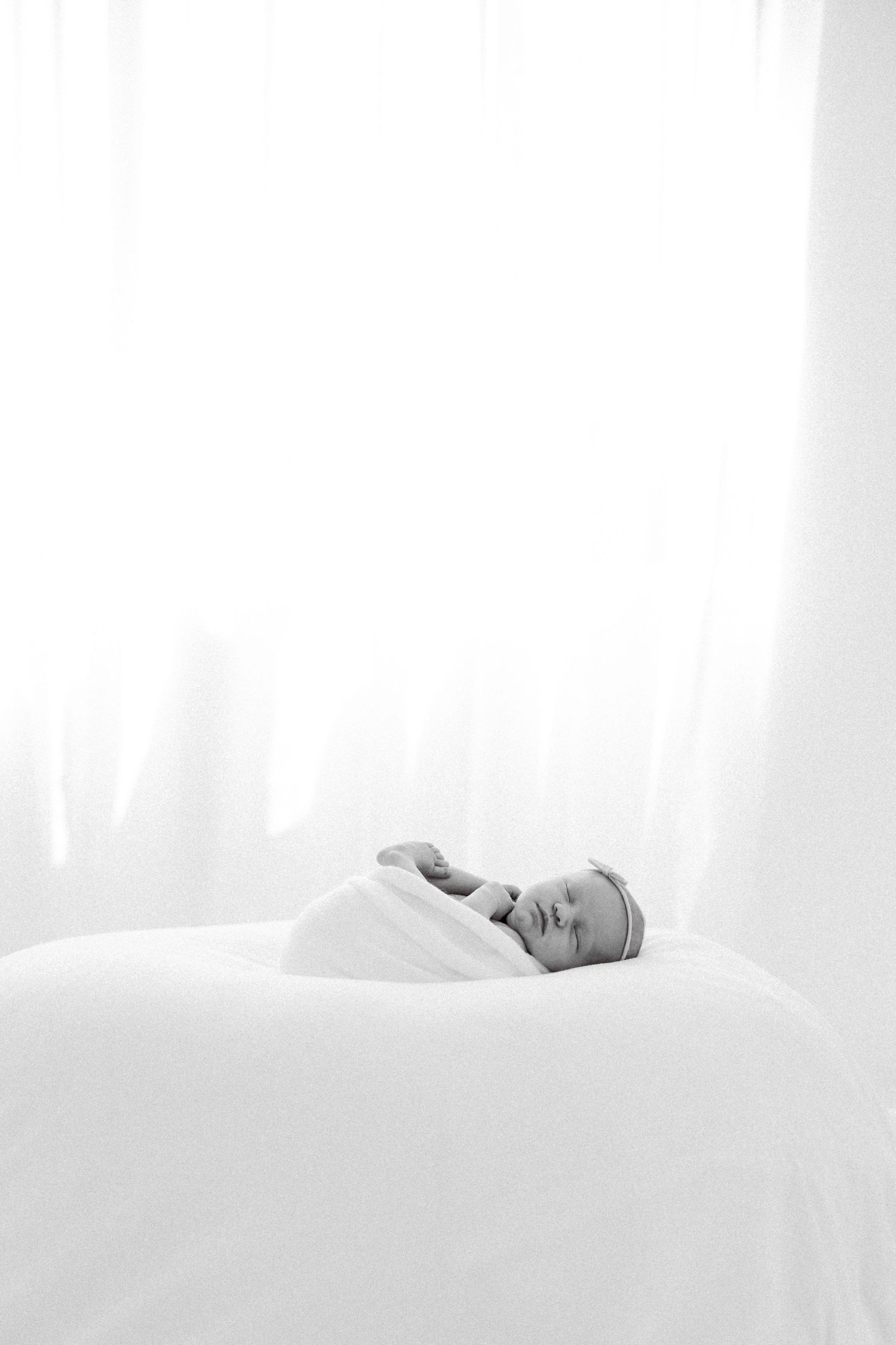 Tampa Family Photographer Tampa Newborn Photographer Tampa Maternity Photographer Heather Walker Photography Natural Light Studio newborn