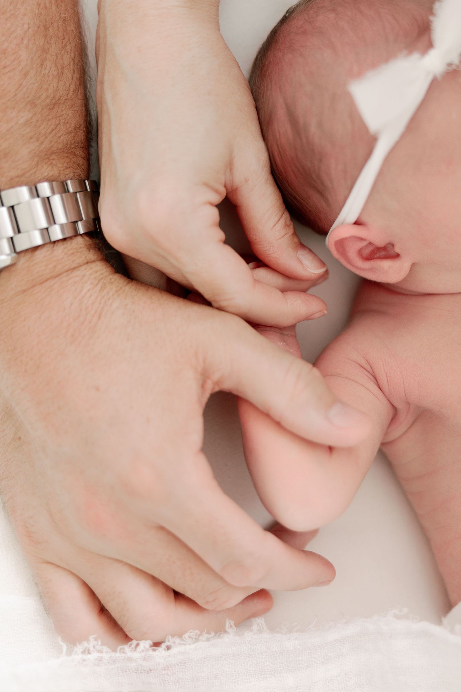 Tampa Family Photographer Tampa Newborn Photographer Tampa Maternity Photographer Heather Walker Photography Natural Light Studio newborn