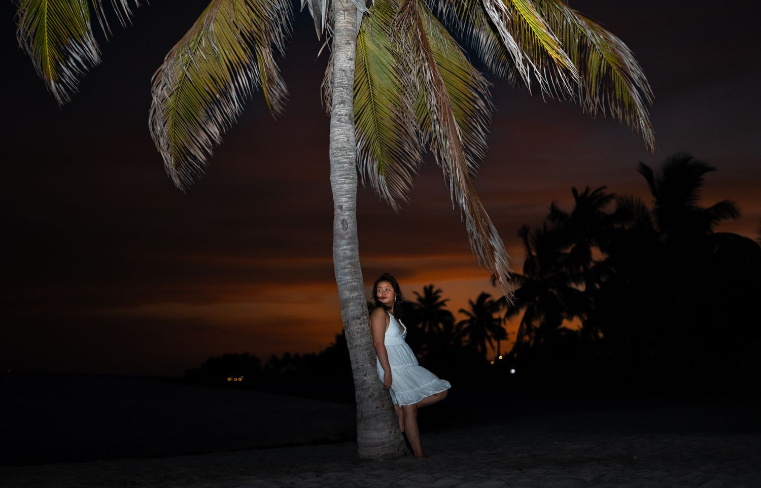 Silhouettes of palm trees against a vibrant orange and purple sunset sky over a tropical beach.