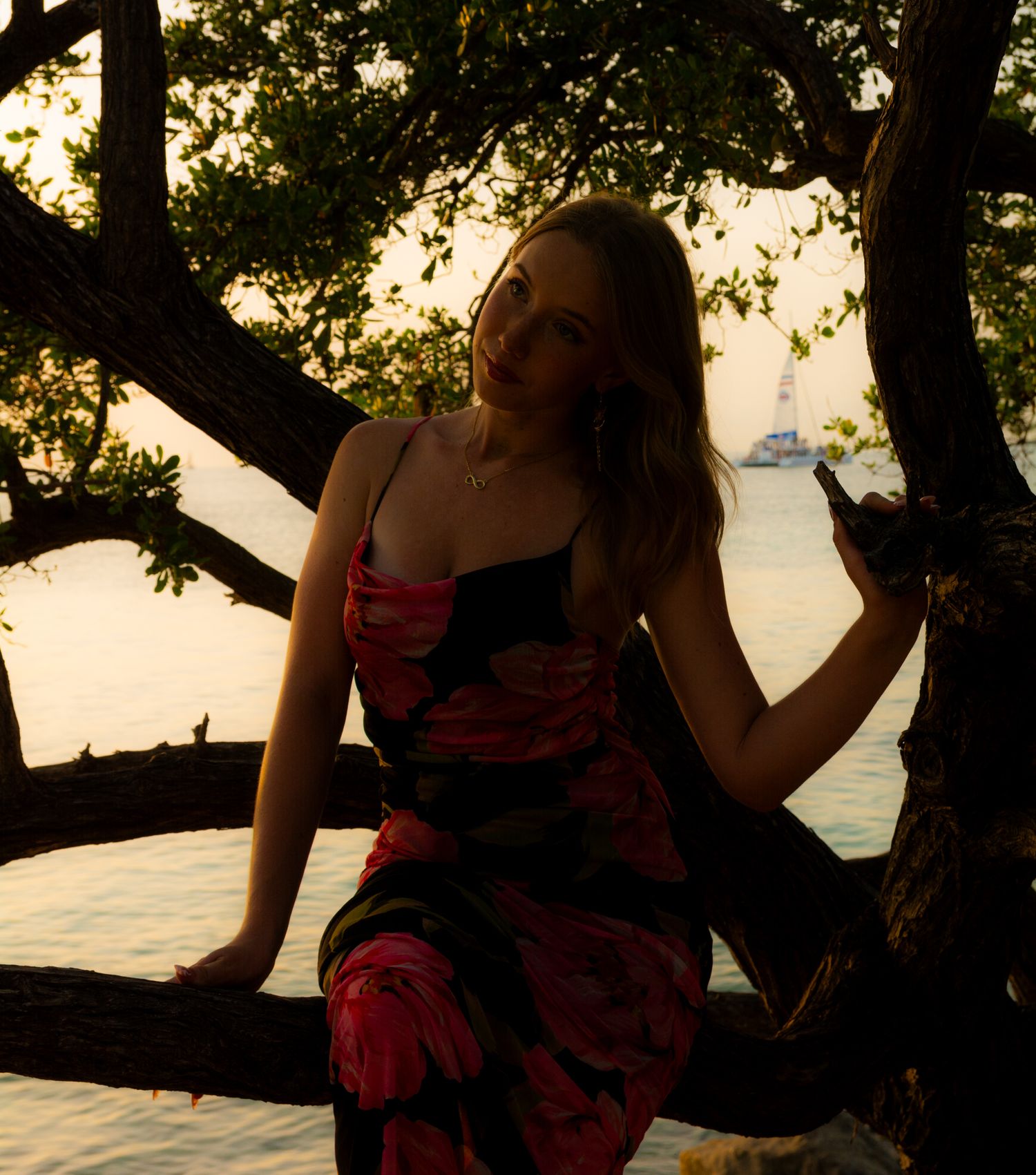 Silhouette of person in red dress sitting on tree branch at sunset.