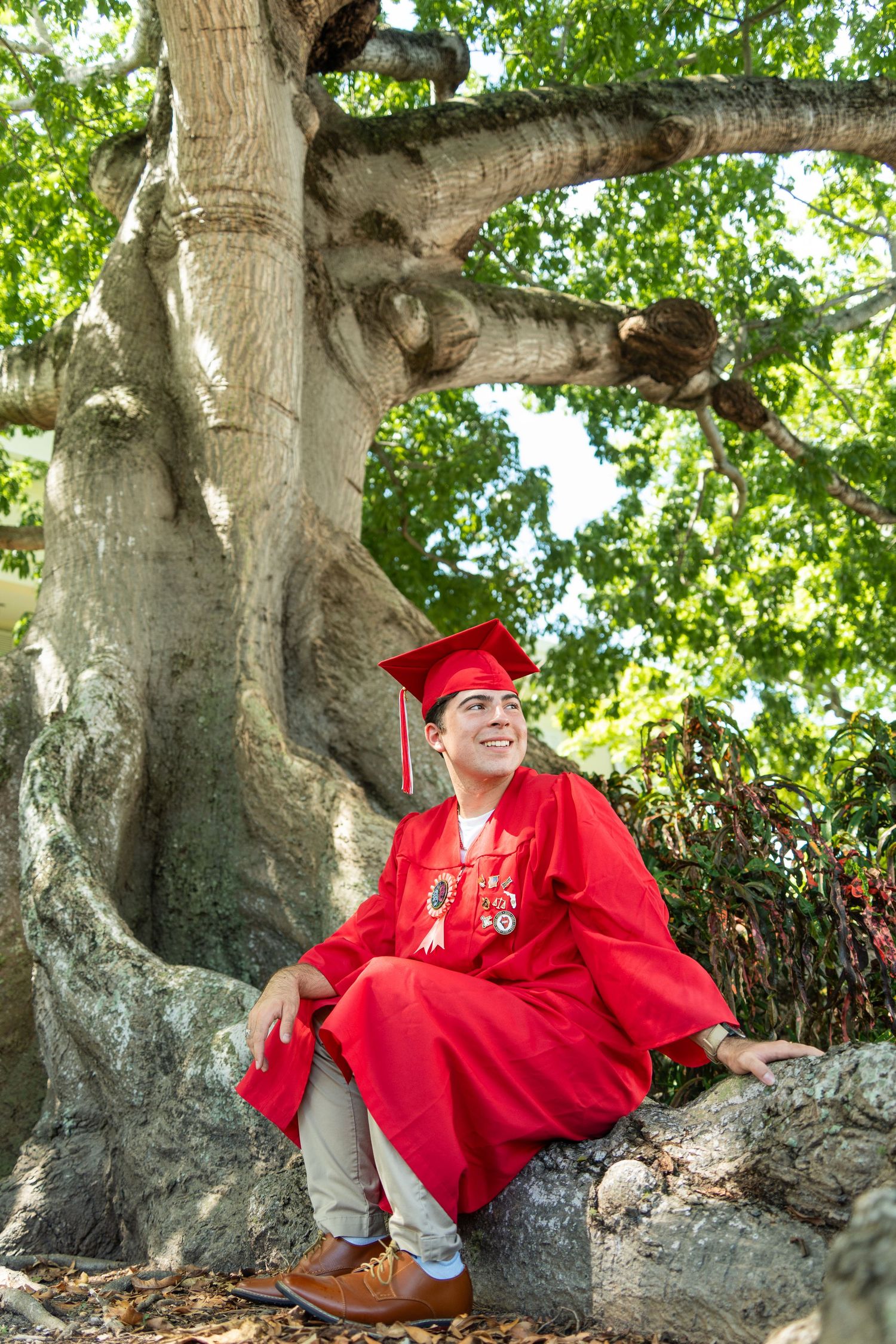 Young man in red graduation cap and gown sitting under a large tree, smiling proudly on his graduation day.