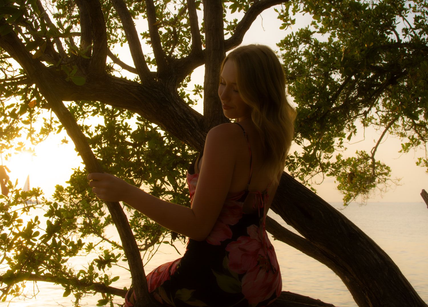 Silhouette of person in floral dress perched in tree at sunset.