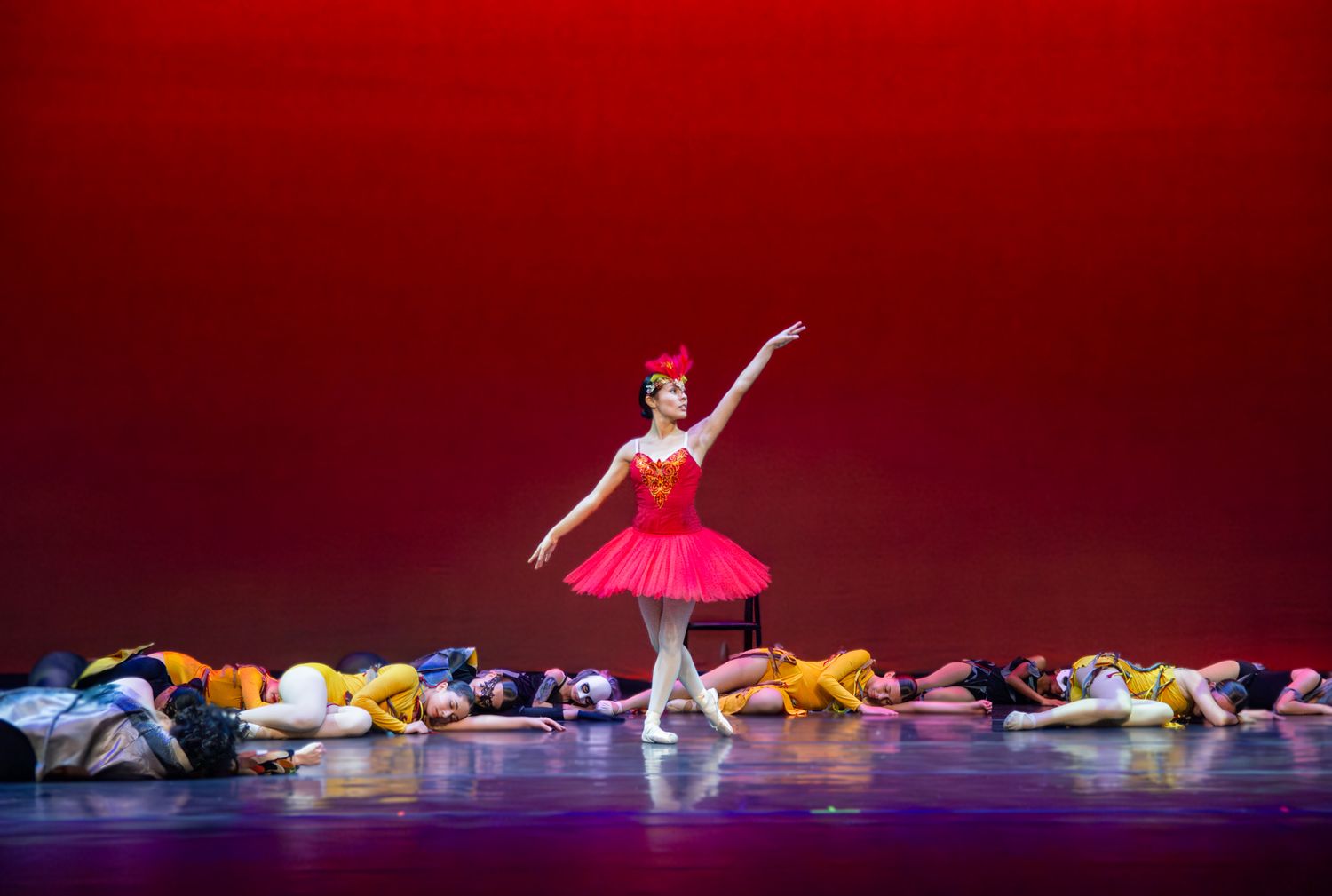 A solo dancer in a pink tutu performs on stage with a red backdrop.