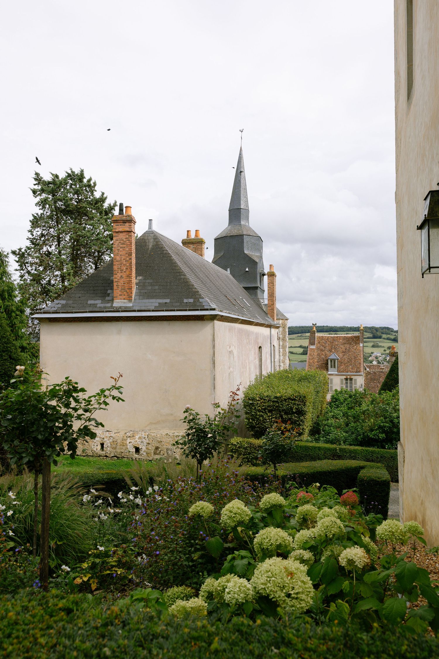 A serene garden view with white hydrangeas and historic buildings with spires visible in the background.