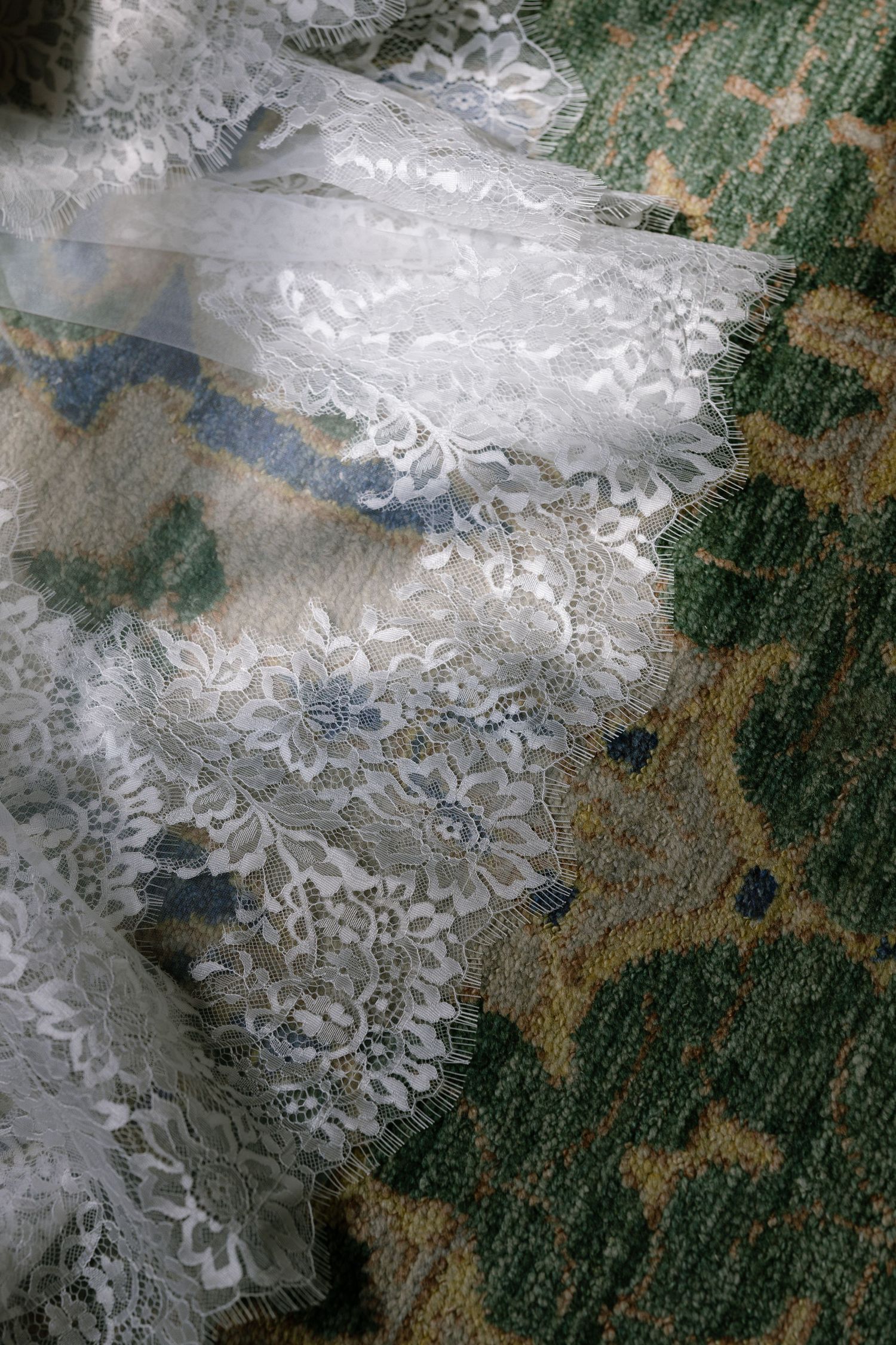 Aerial satellite view shows snow-covered mountain peaks contrasting with dark forested areas in a winter landscape.