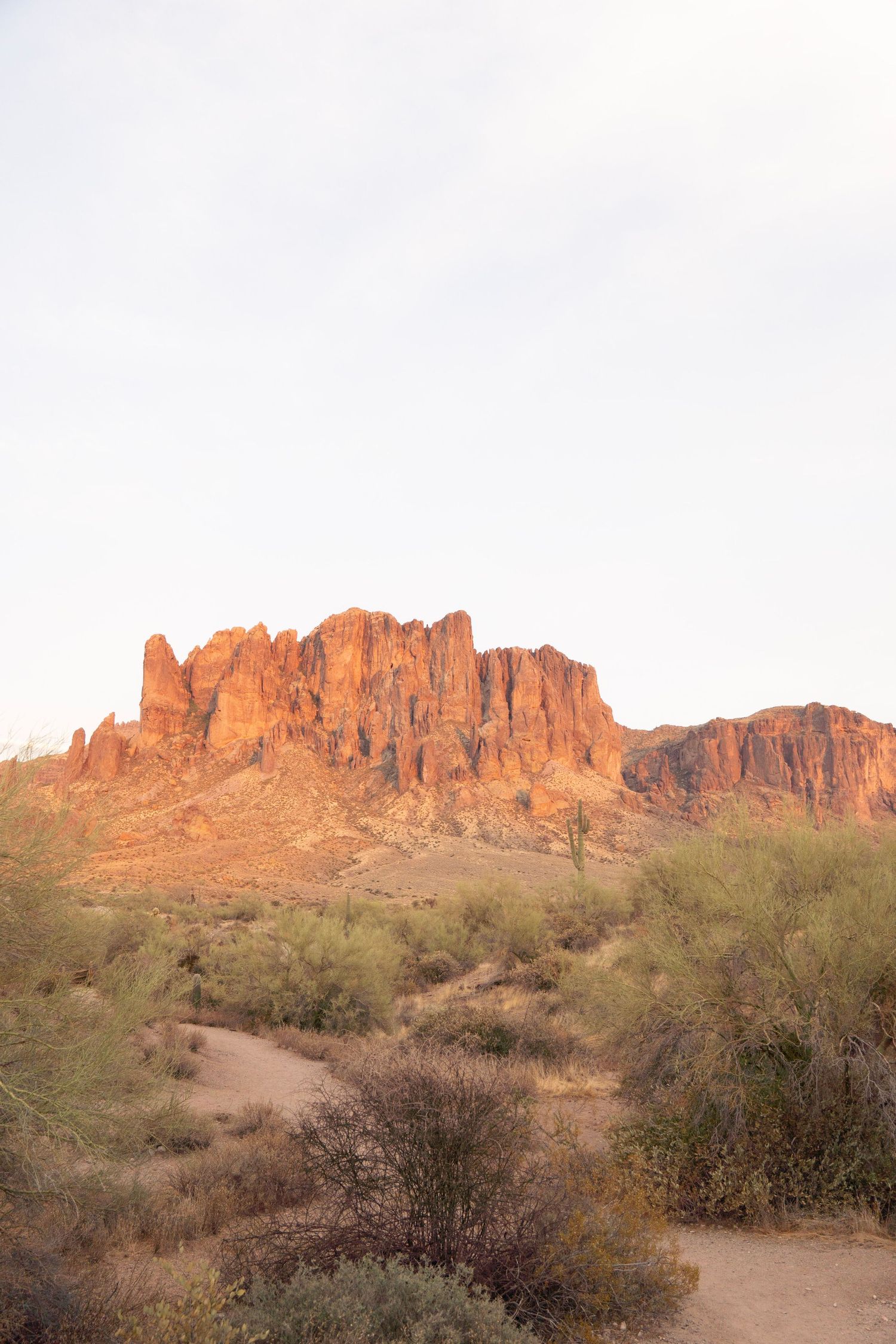Couples portrait in Arizona desert with authentic, natural style by Photos X Gwen