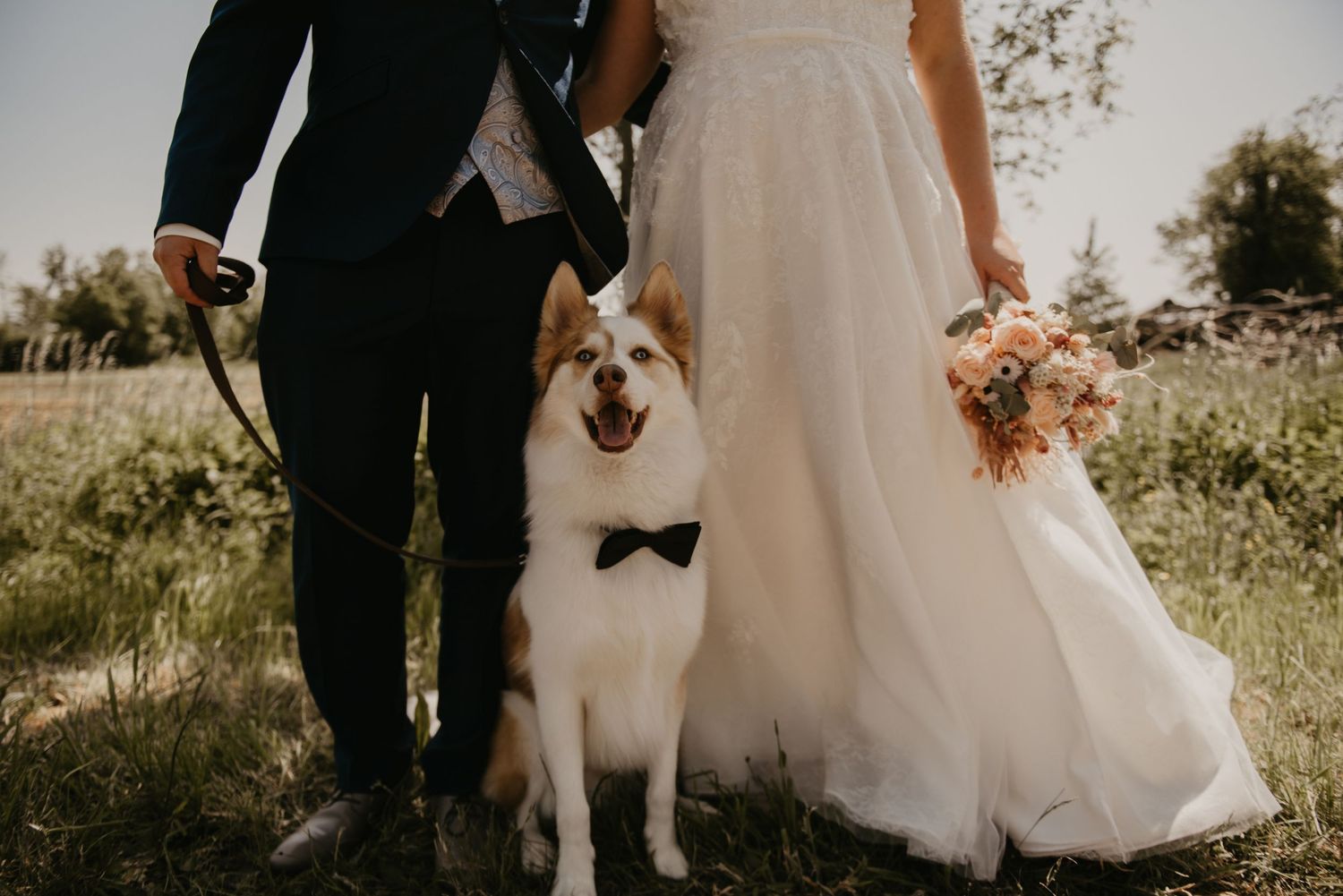 Wedding dress and formal attire silhouettes with dog in natural outdoor setting.