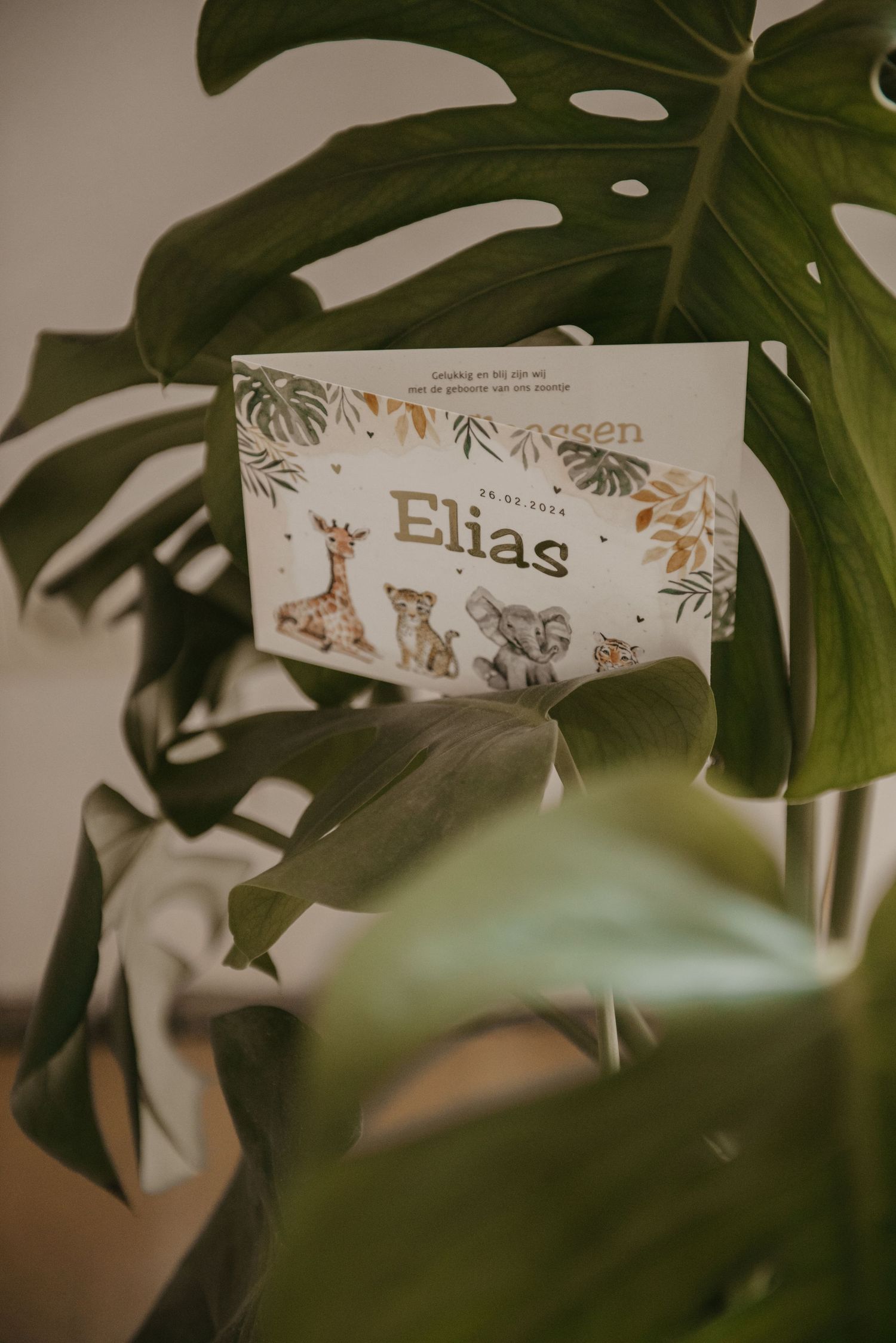 Decorative name card with safari animals peeking through monstera leaves.
