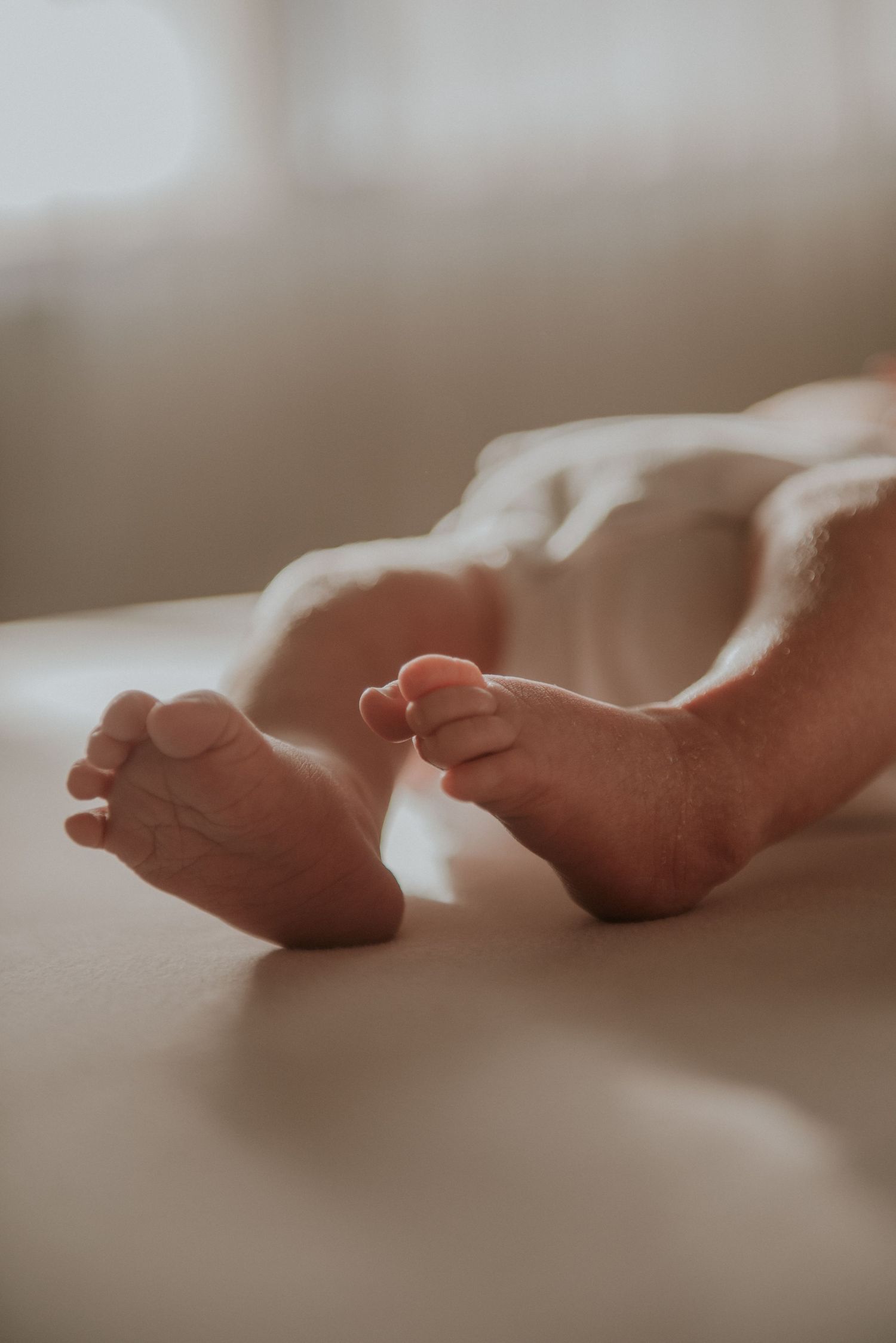 Close-up of tiny newborn baby feet against soft white background.