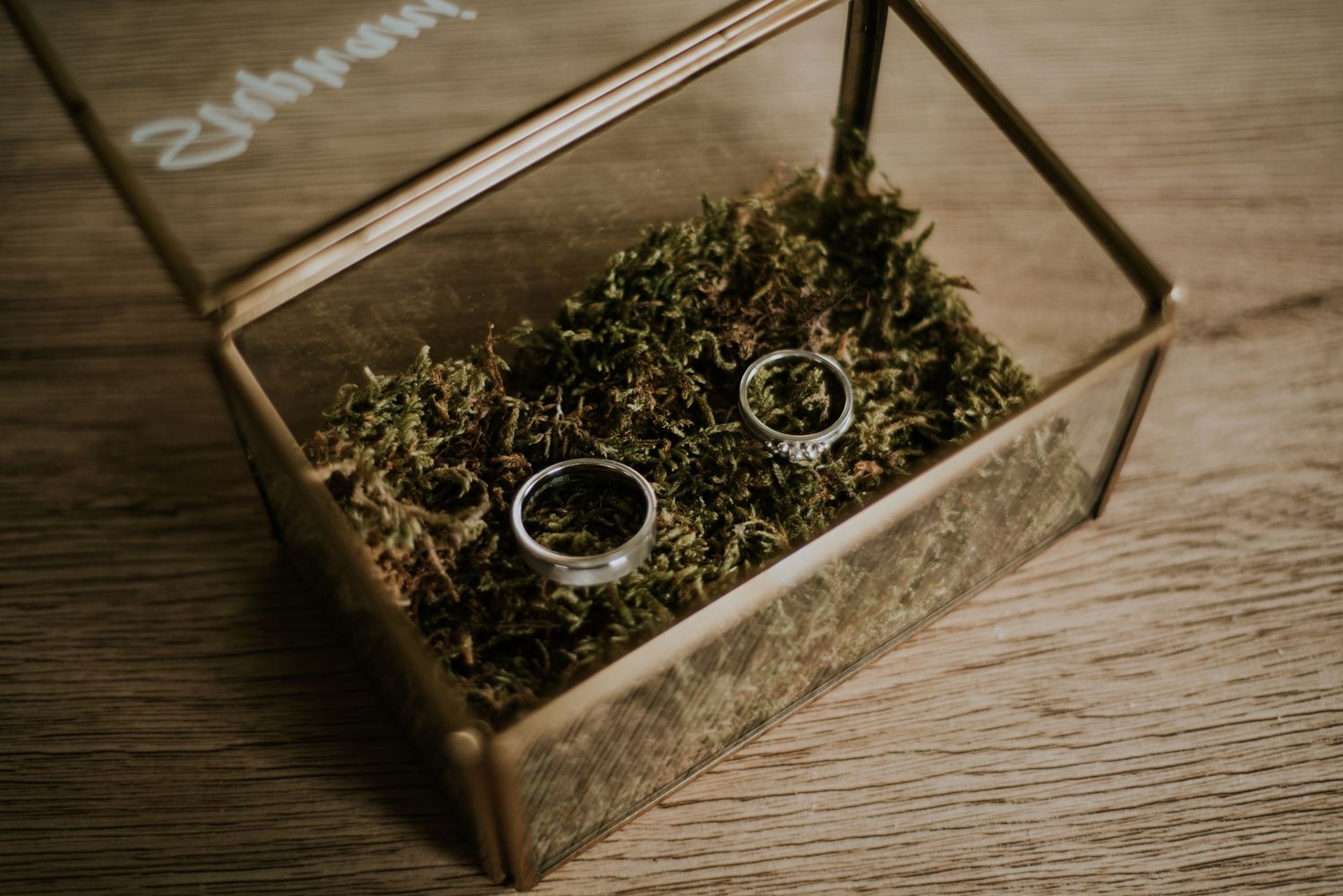 Wedding rings displayed in an elegant glass box with natural moss and greenery.