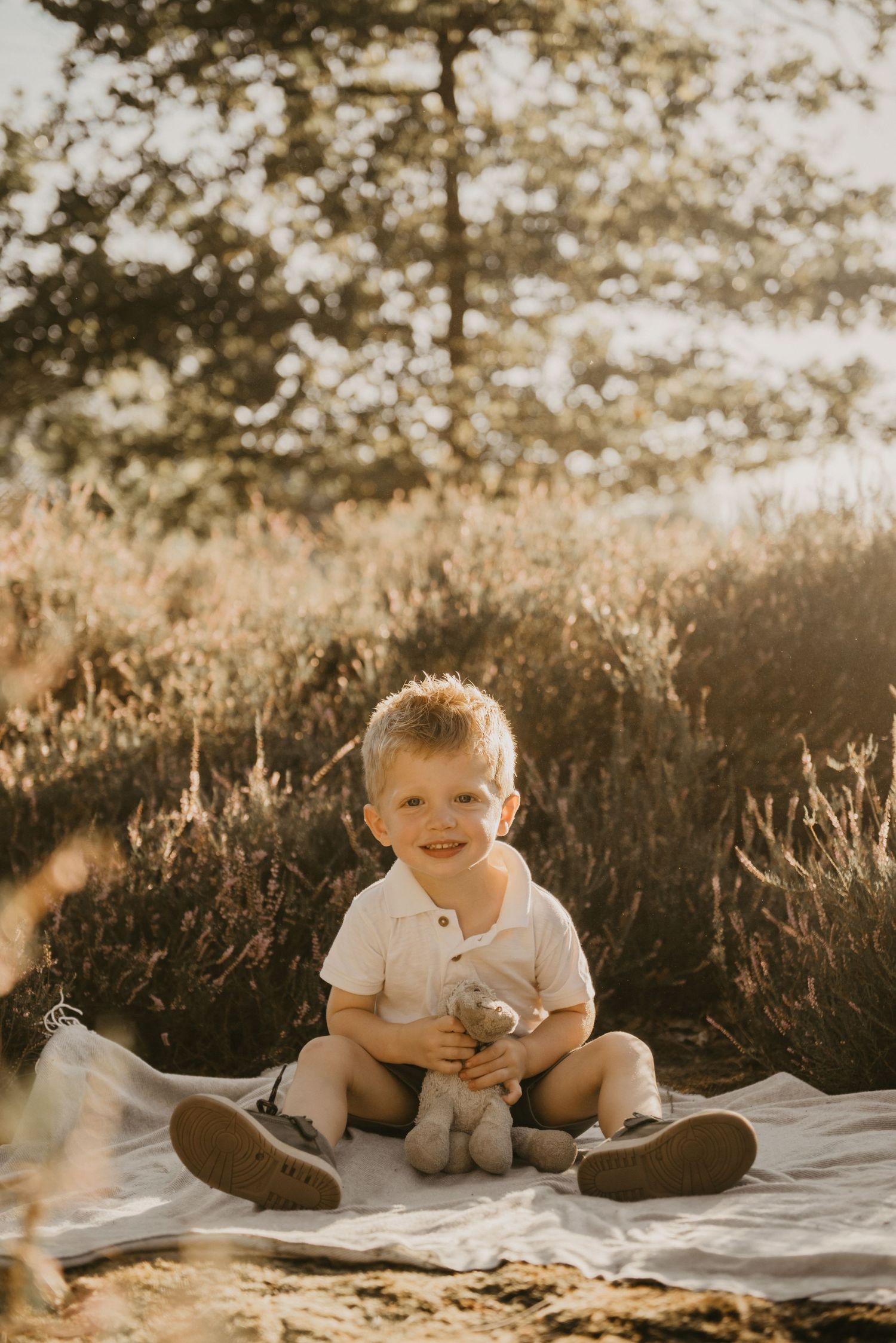Child sitting on white blanket outdoors during golden hour surrounded by natural brush and sunlight.